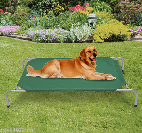 PawHut Raised Dog Bed Cat Elevated Lifted Portable Folding Steel Frame Cloth Cover Comfortable Green