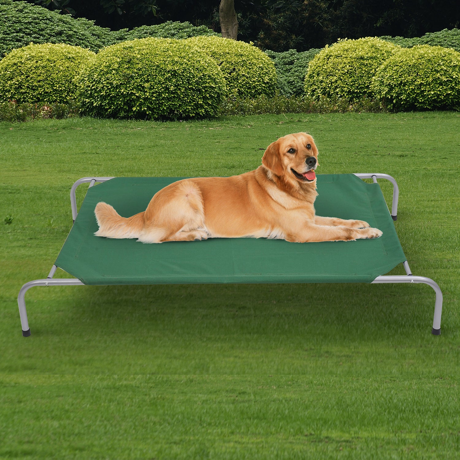 PawHut Raised Dog Bed Cat Elevated Lifted Portable Folding Steel Frame Cloth Cover Comfortable Green