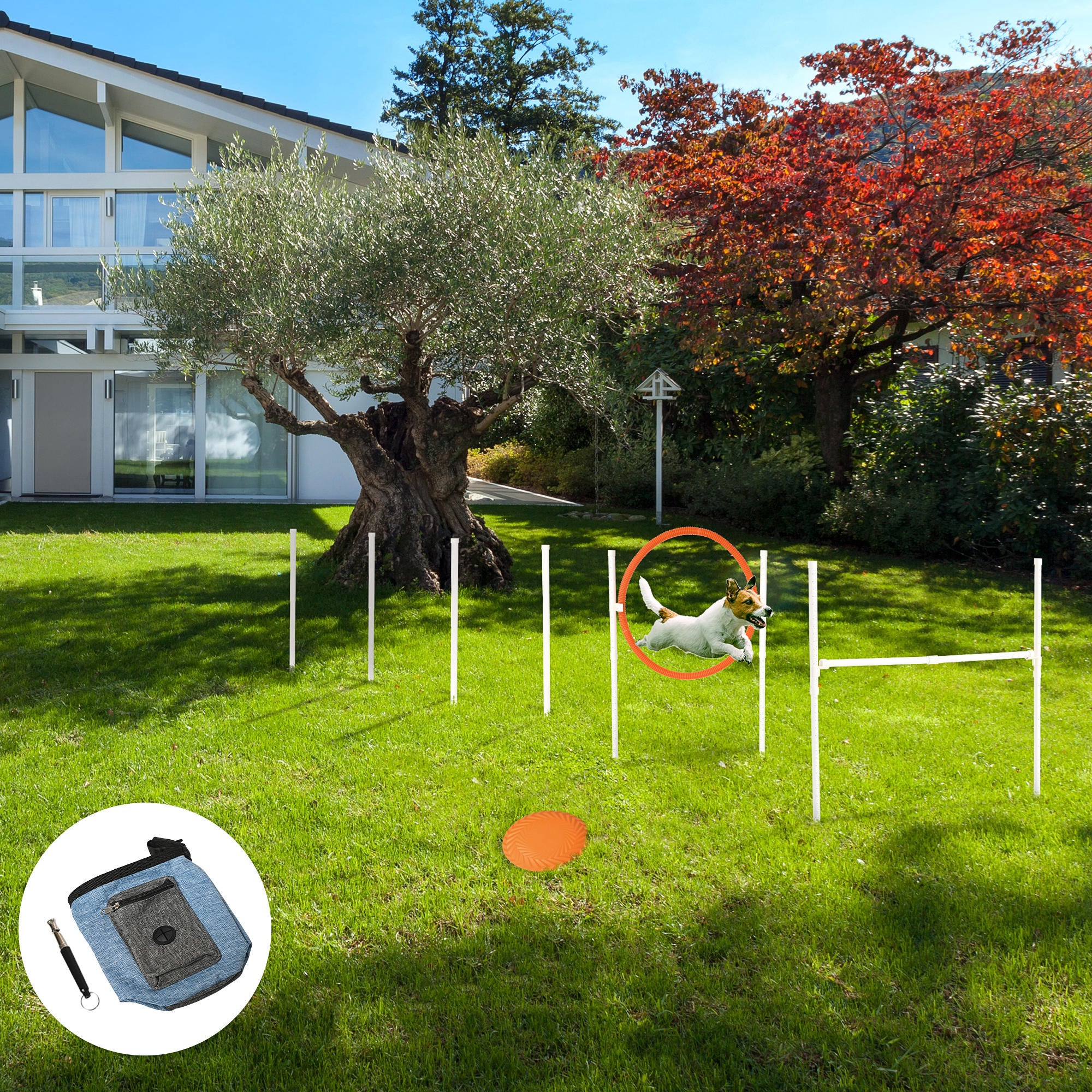 PawHut Dog Agility Training Equipment with Disc, Whistle, Weaves Poles, Adjustable Jumping Poles, Food Bag, 5 Pieces Dog Obstacle Course with Carry Bag, Multicoloured