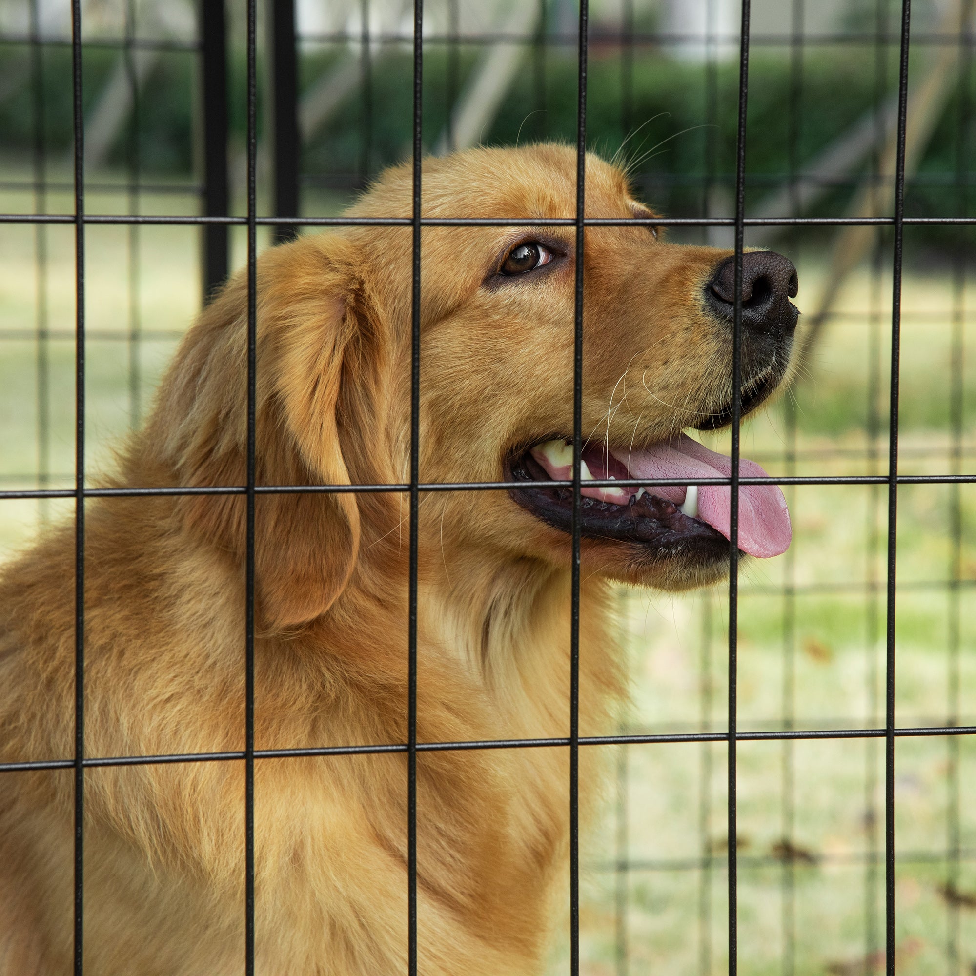 PawHut Outdoor Dog Kennel Run, Large Wire Steel Puppy Fence, Lockable Pet Playpen Crate Enclosure, with Top Cover, Door, Black