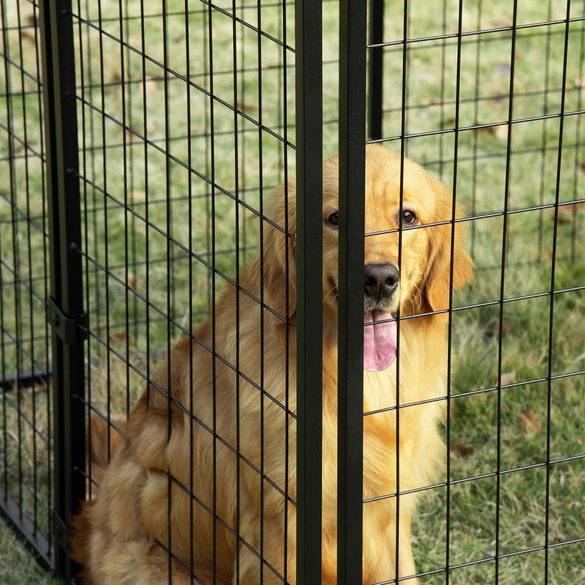 PawHut Outdoor Dog Kennel Run, Large Wire Steel Puppy Fence, Lockable Pet Playpen Crate Enclosure, with Top Cover, Door, Black