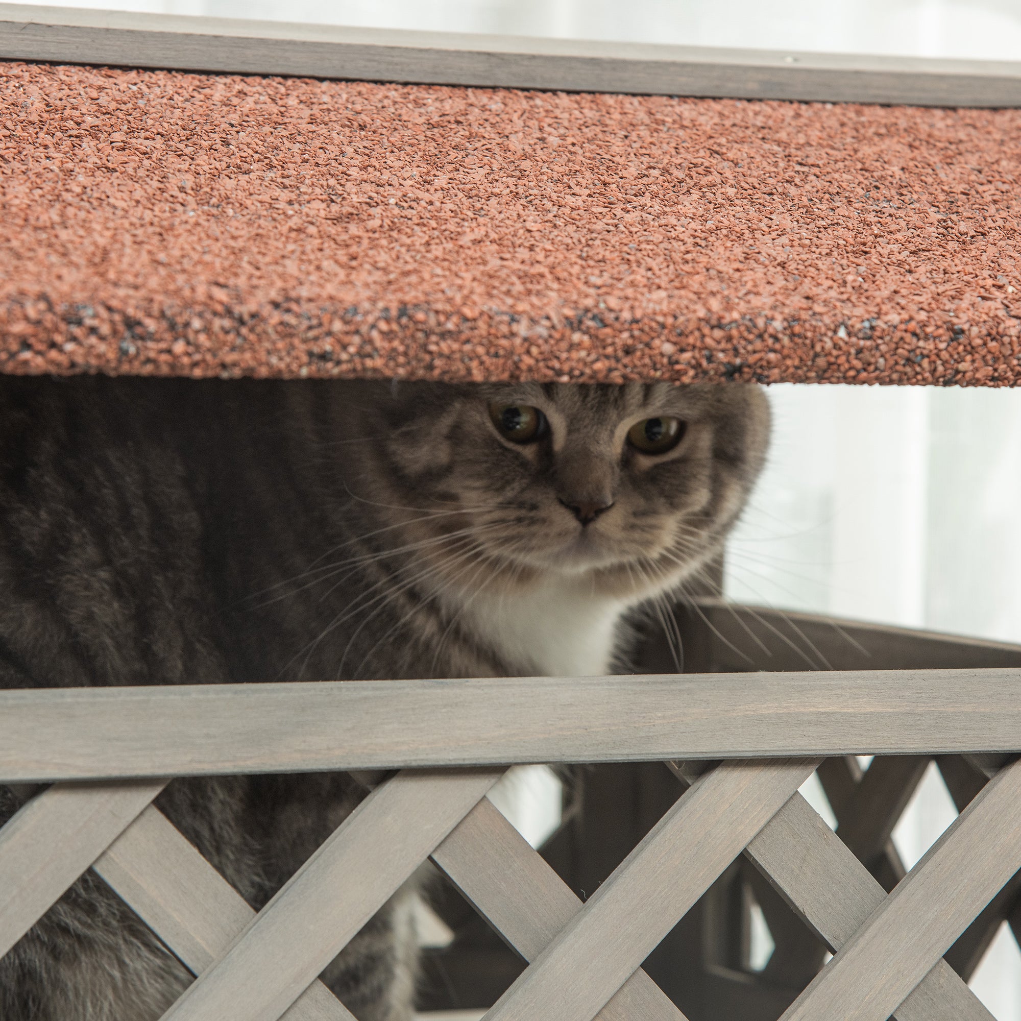 PawHut Wooden Cat House, 2-Floor Feral Cat Shelter, Kitten Condo Outdoor, Small Dog House with Balcony, Stairs, Asphalt Roof, Light Gray