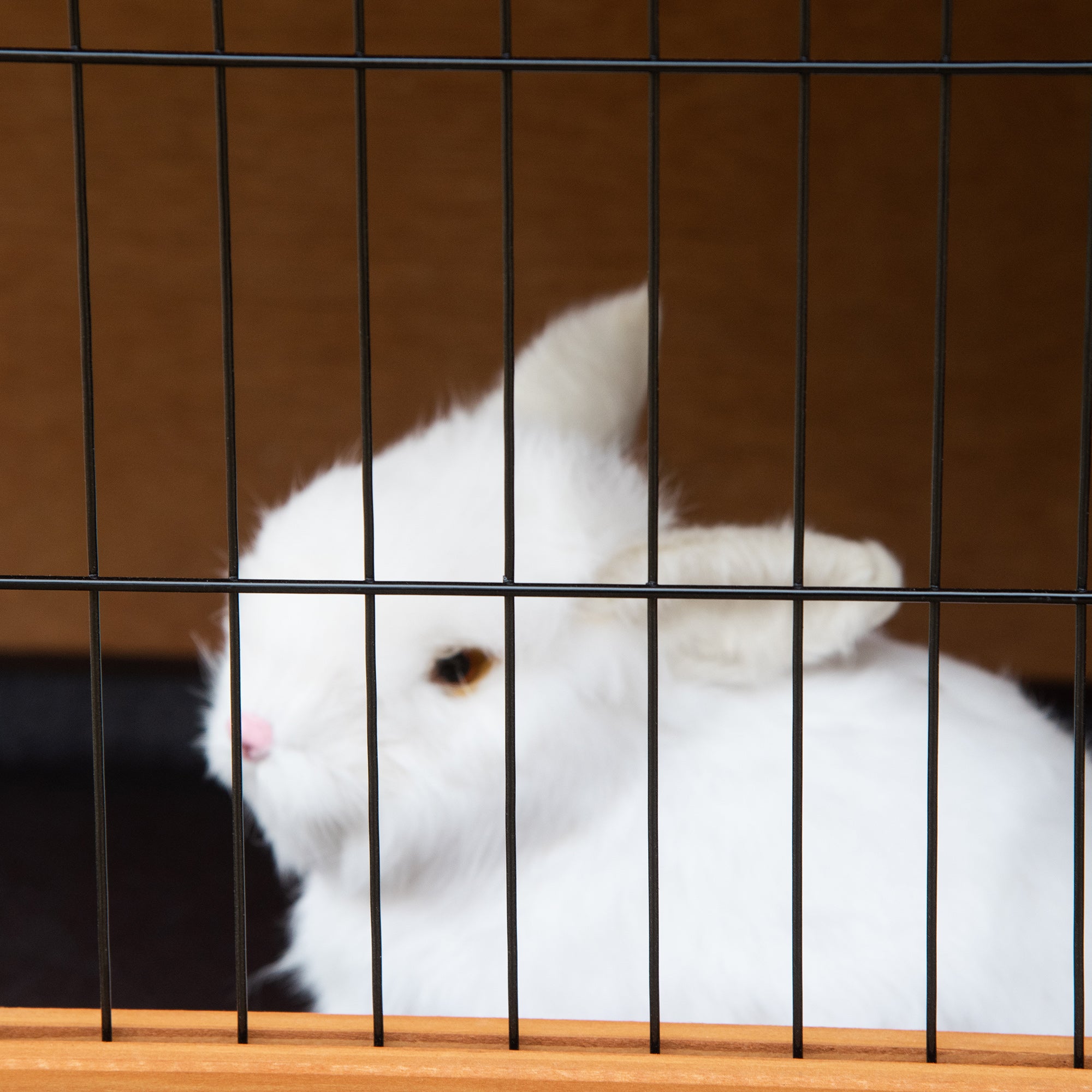 PawHut 47" 2-Story Rabbit Hutch, Wooden Bunny Cage, Guinea Pig House, with 2 Handles for Easy Movement, No Leak Tray, Openable Roof, Ramp, Feeding Shelf for Indoor/Outdoor, Orange