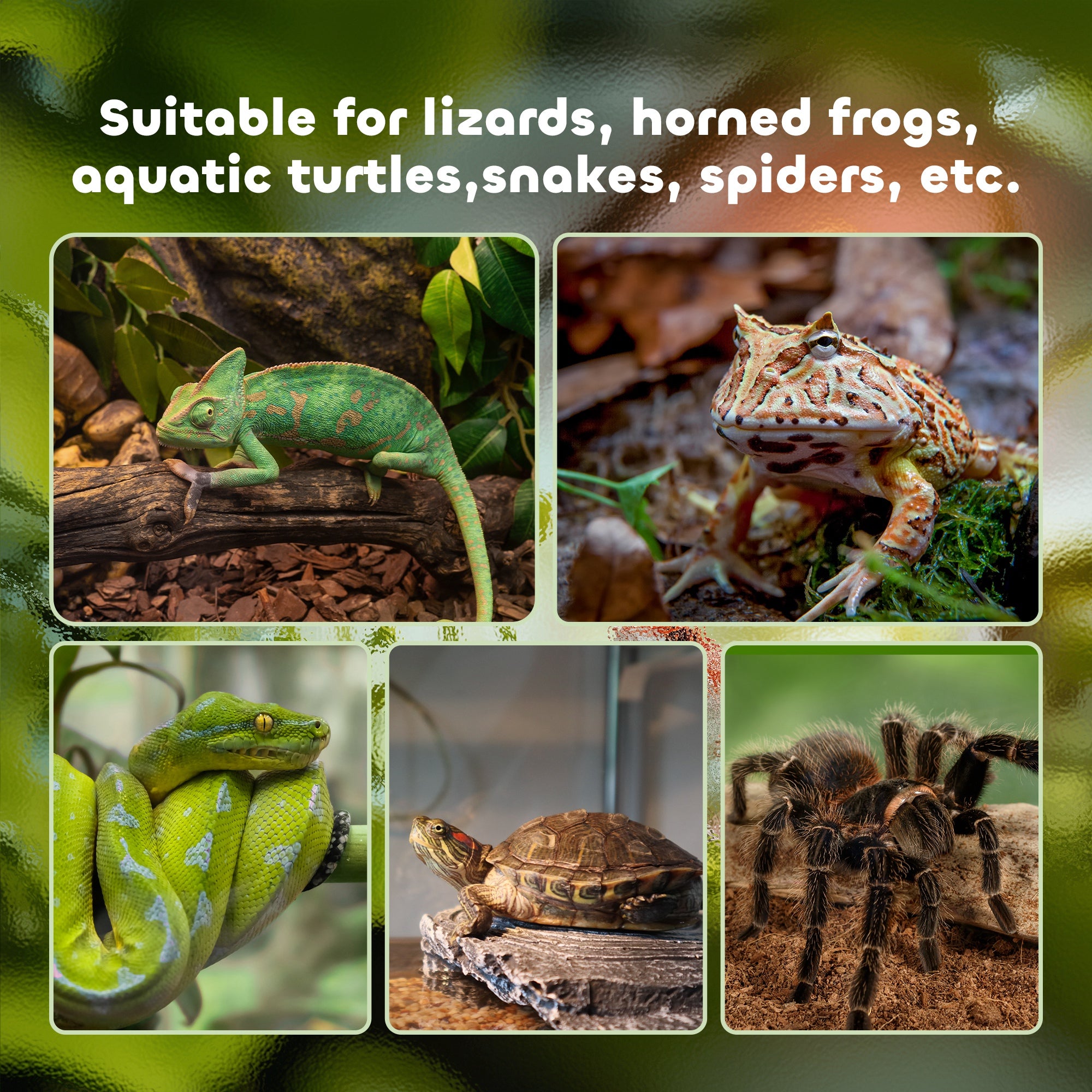 PawHut Vivarium, Terrarium, Glass Reptile Habitat w/ Thermometer, Decoration, Heat for Lizards, Horned Frogs, Snakes, Spiders, 50 x 30 x 25cm