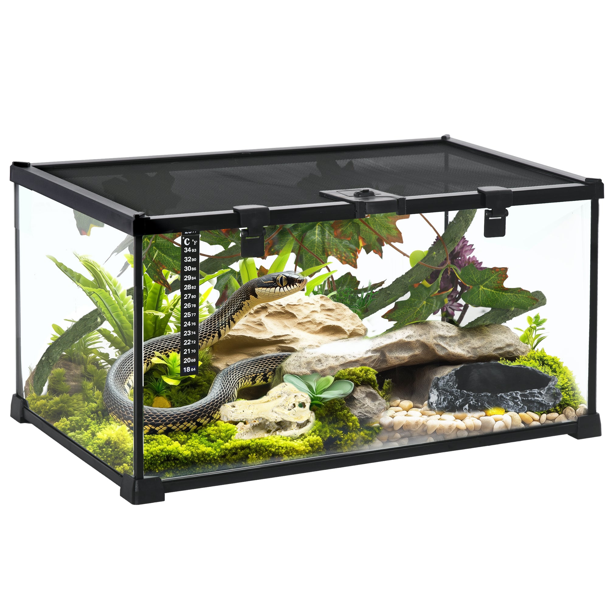 PawHut Vivarium, Terrarium, Glass Reptile Habitat w/ Thermometer, Decoration, Heat for Lizards, Horned Frogs, Snakes, Spiders, 50 x 30 x 25cm