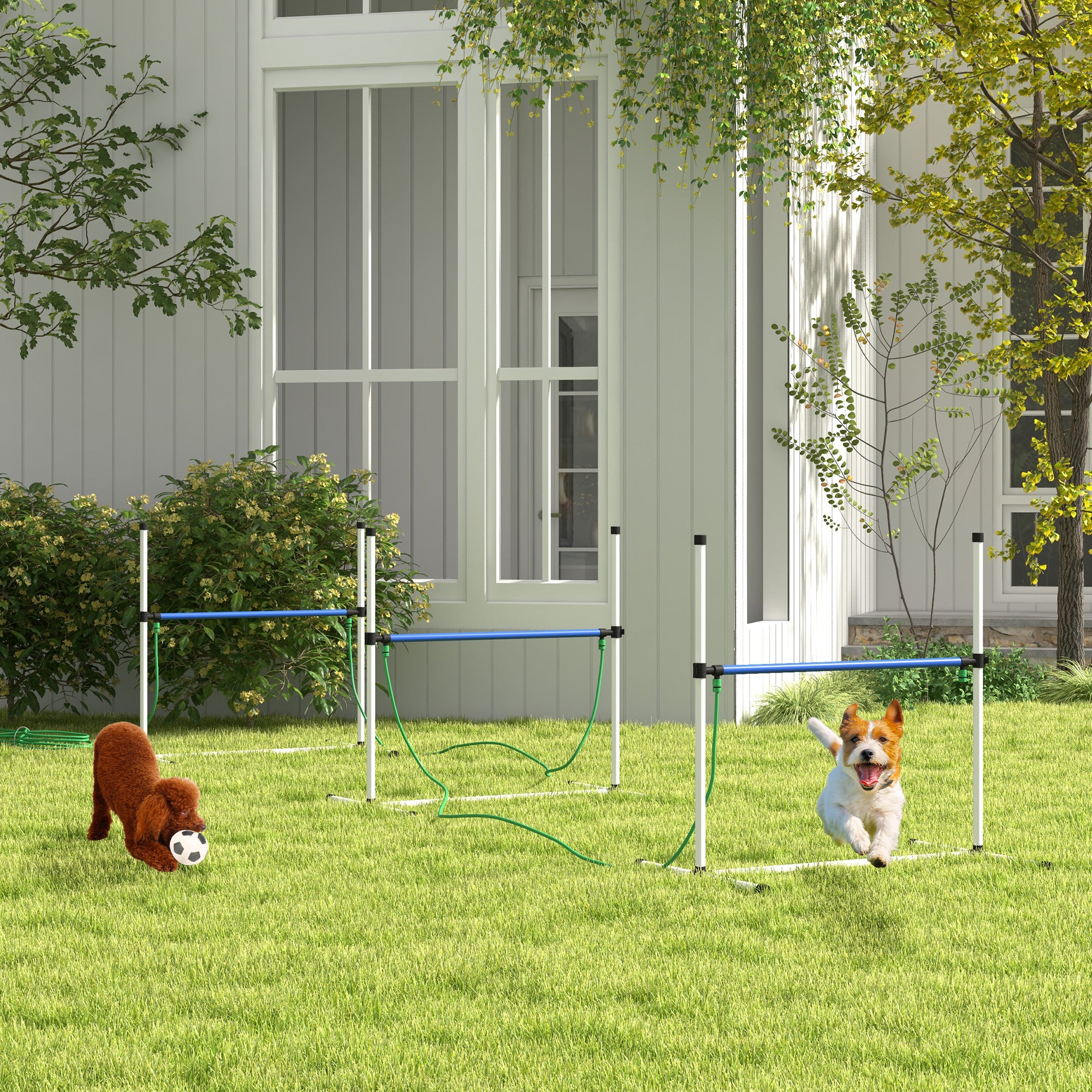 PawHut 4PCs Dog Agility Equipment Set with Adjustable Height Hurdles, Spray Water Tube, Whistle, Carry Bag, Dog Agility Kit for Backyard, Garden, Outdoor, White