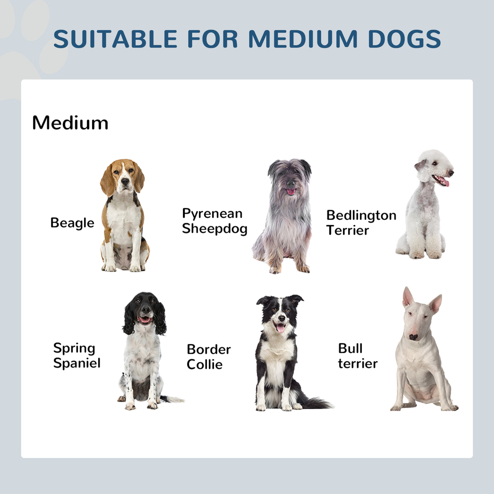 PawHut Elevated Dog Bowls, Double Stainless Steel Heavy Duty Dog Food Bowl Elevated Pet Feeding Station, 10.5" H