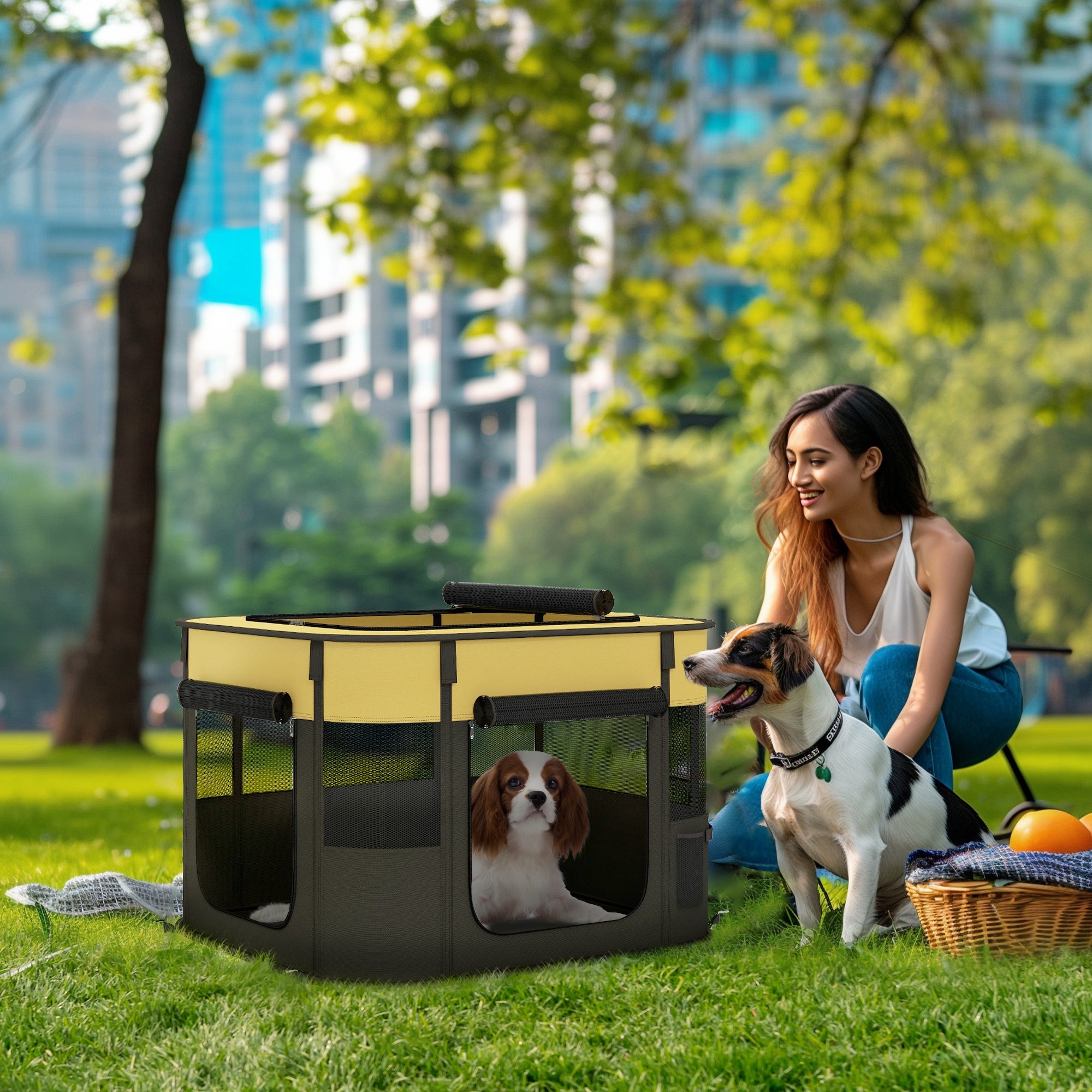 PawHut Dog Pen, Pet Playpen, Portable Foldable Dog Cat Playpen Soft Dog Cage with Storage Bag for Puppies, Rabbits, Kittens, Guinea Pigs, 74 x 60 x 45cm - Yellow