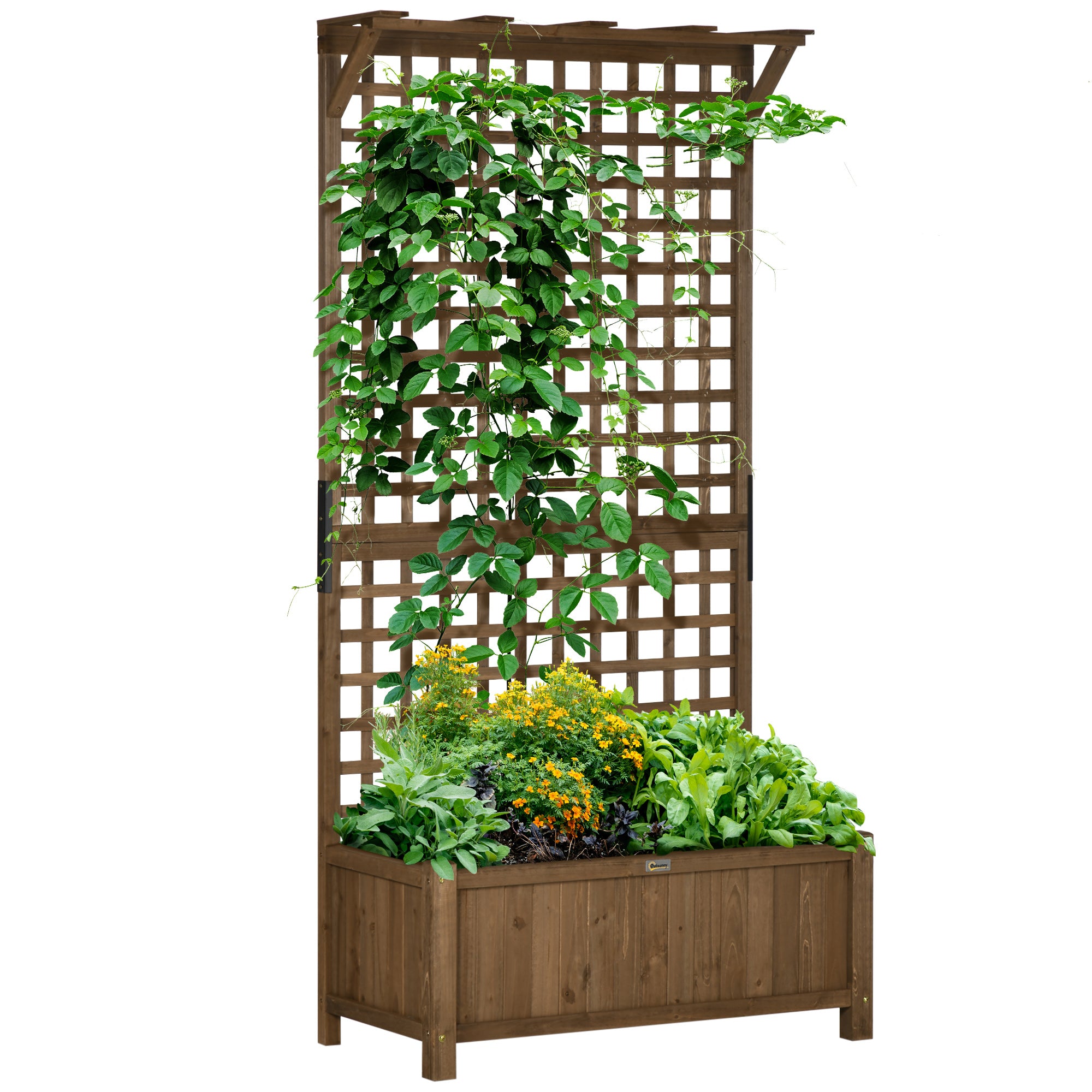 Outsunny Raised Garden Bed, Wood Planter with Trellis for Vine Climbing, Privacy Screen Planter Box to Grow Vegetables, Herbs, and Flowers for Backyard, Patio, Deck, Coffee