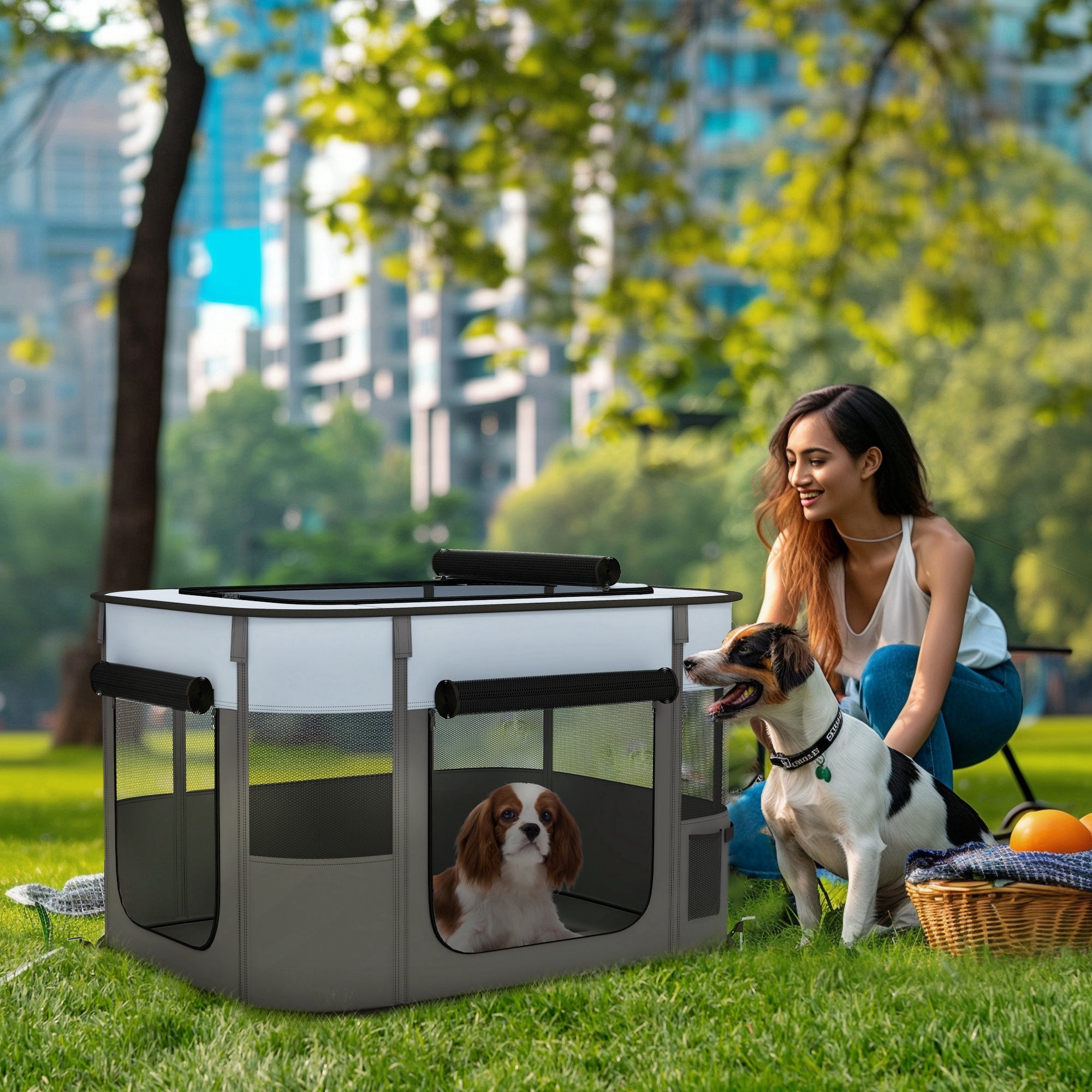 PawHut Dog Pen, Pet Playpen, Portable Foldable Dog Cat Playpen Soft Dog Cage with Storage Bag for Puppies, Rabbits, Kittens, Guinea Pigs, 84 x 64 x 53cm - Grey