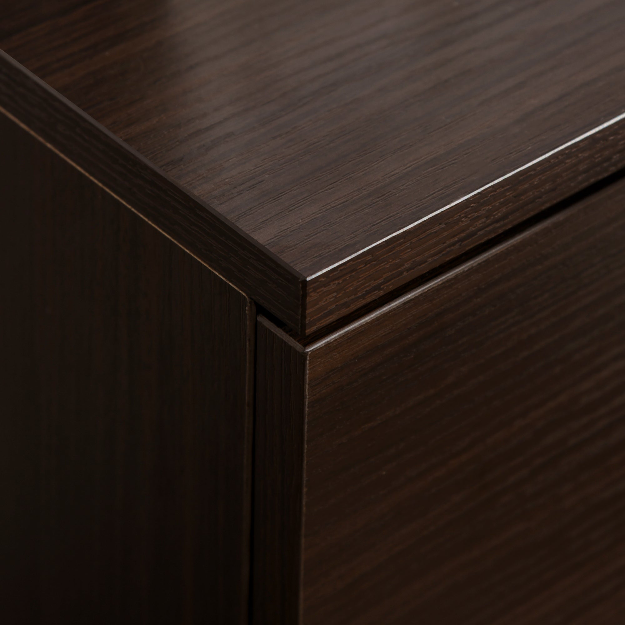 Vinsetto Vertical Filing Cabinet with Wheels, 2-Drawer Mobile File Cabinet, Office Storage Cabinet for Letter or A4 File, Study Home Office, Brown