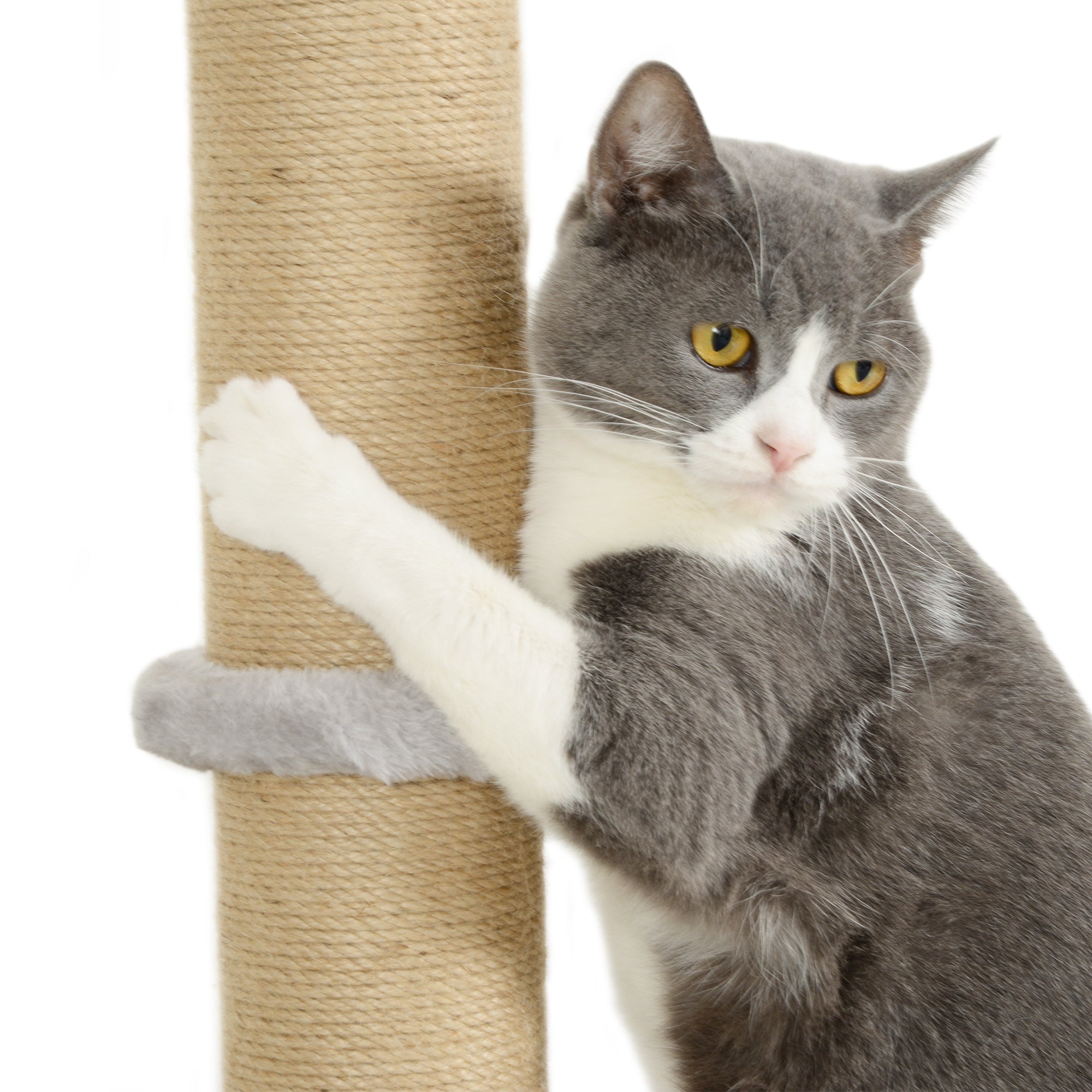PawHut Cat Shelves, Four-Piece Cat Wall Furniture with Scratching Post, Steps, Jumping Platform, Ladder, Toy Balls, Cat Wall Shelves for Indoor Cats, Kittens, Light Grey