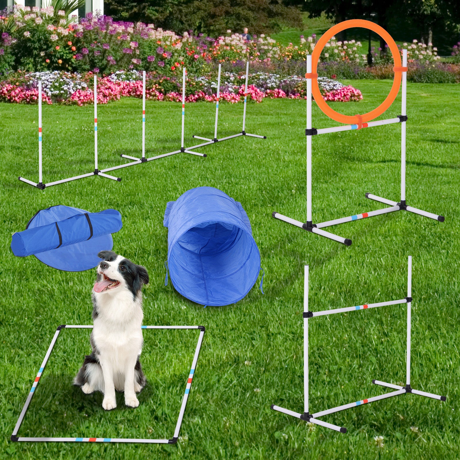 Pawhut 5 Piece Outdoor Game Dog Agility Training Equipment Set Agility Starter Kit Jumping Ring Hurdle Bar Tunnel