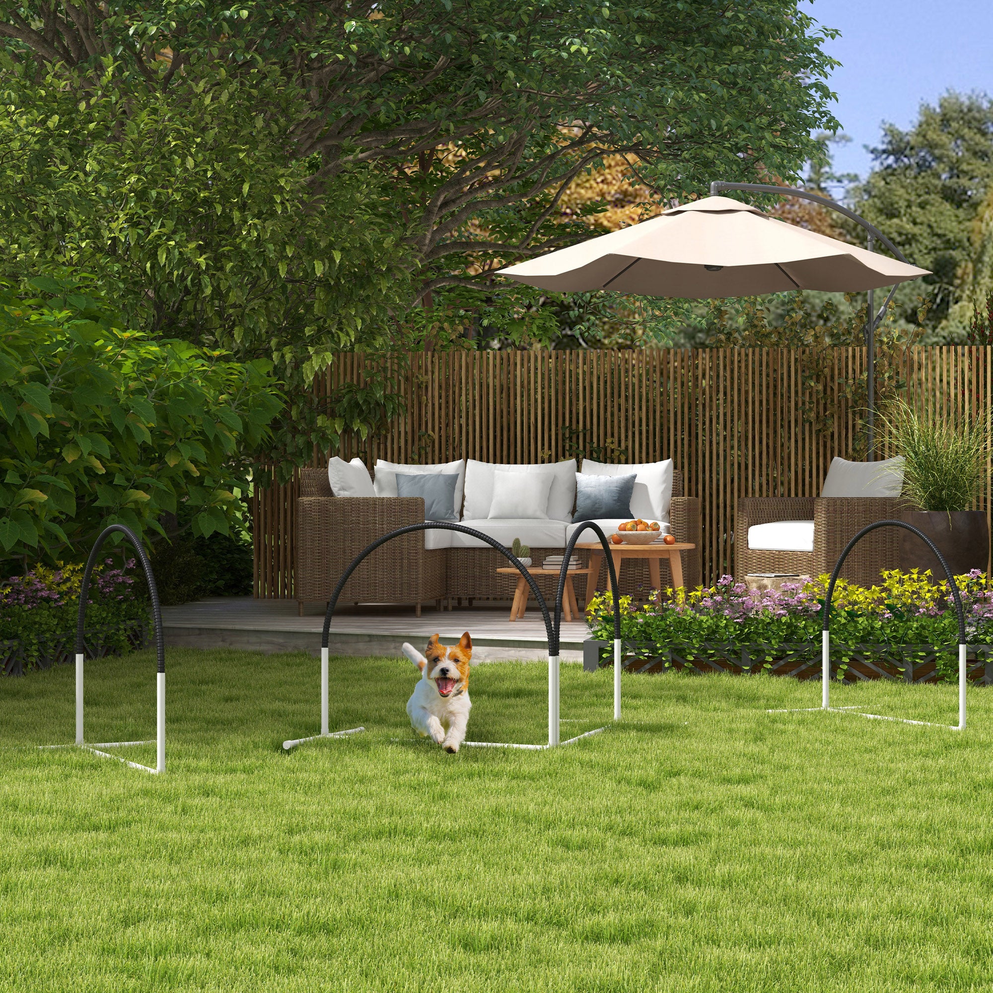 PawHut 4 Pieces Dog Agility Training Equipment with Weave Poles, Training Starter Kit, Dog Obstacle Course, Pet Outdoor Games with Carry Bag, Black