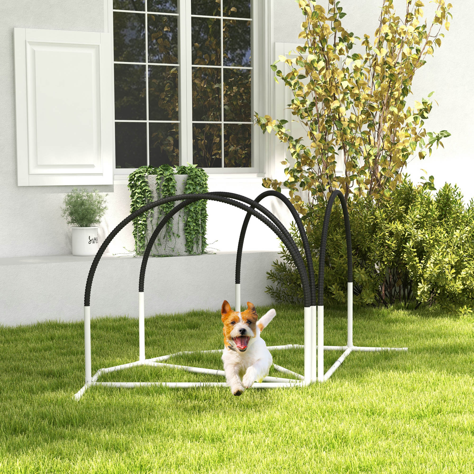 PawHut 4 Pieces Dog Agility Training Equipment with Weave Poles, Training Starter Kit, Dog Obstacle Course, Pet Outdoor Games with Carry Bag, Black