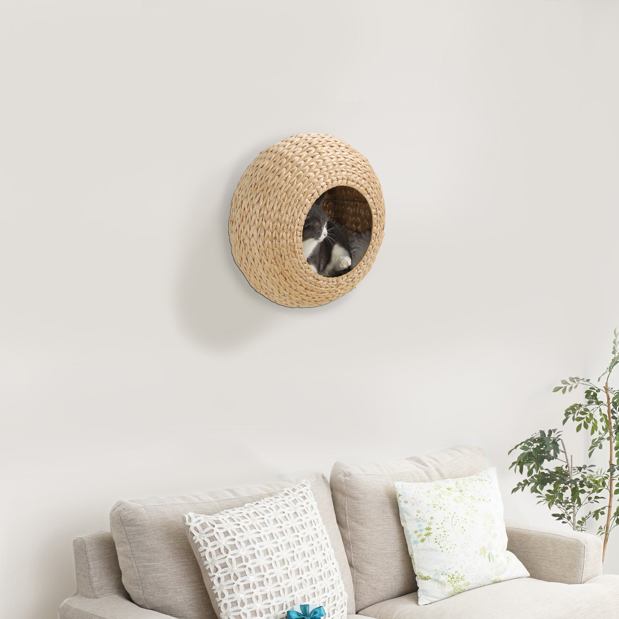 PawHut Cat Wall Furniture, Wall Mounted Cat Condo with Washable Cushion, Cat Wall Shelf for Indoor Cats Kittens, Natural Wood
