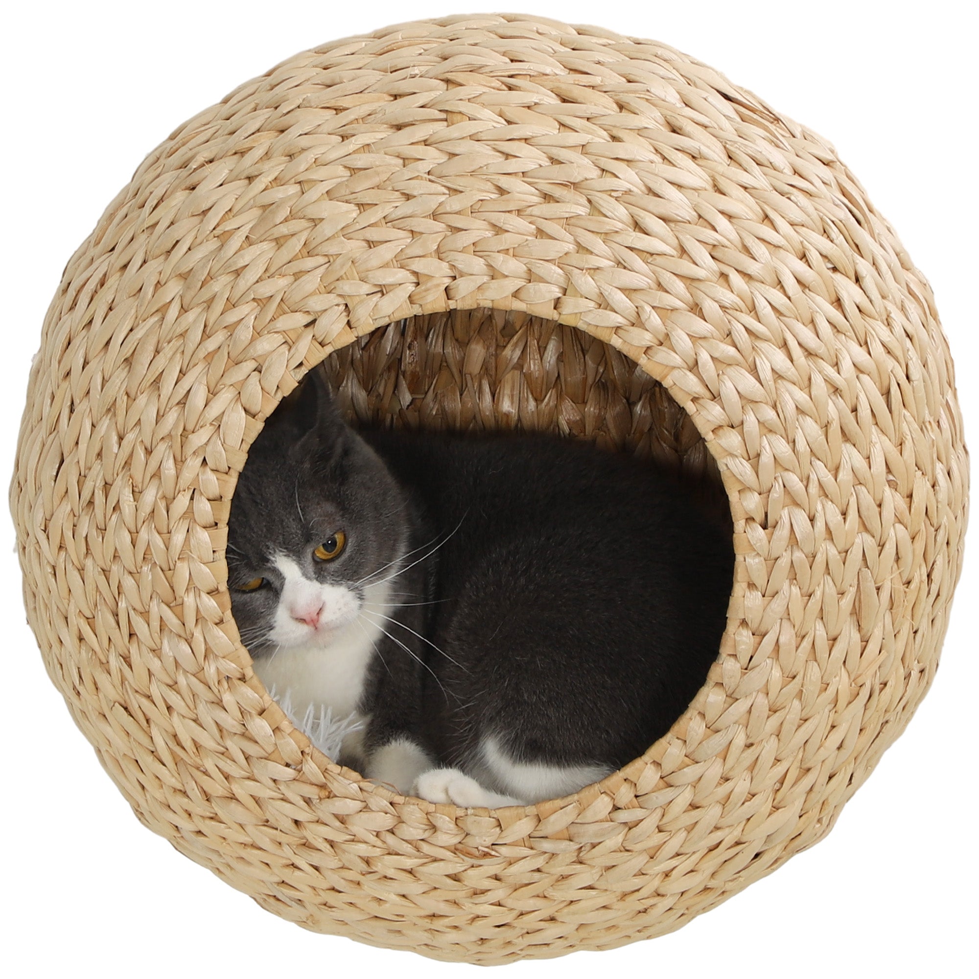 PawHut Cat Wall Furniture, Wall Mounted Cat Condo with Washable Cushion, Cat Wall Shelf for Indoor Cats Kittens, Natural Wood