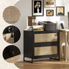 Vinsetto 2-Drawer Filing Cabinet with Lock, Rattan File Cabinet with Adjustable Hanging Bar for Letters, A4 and Legal Size Papers, Black