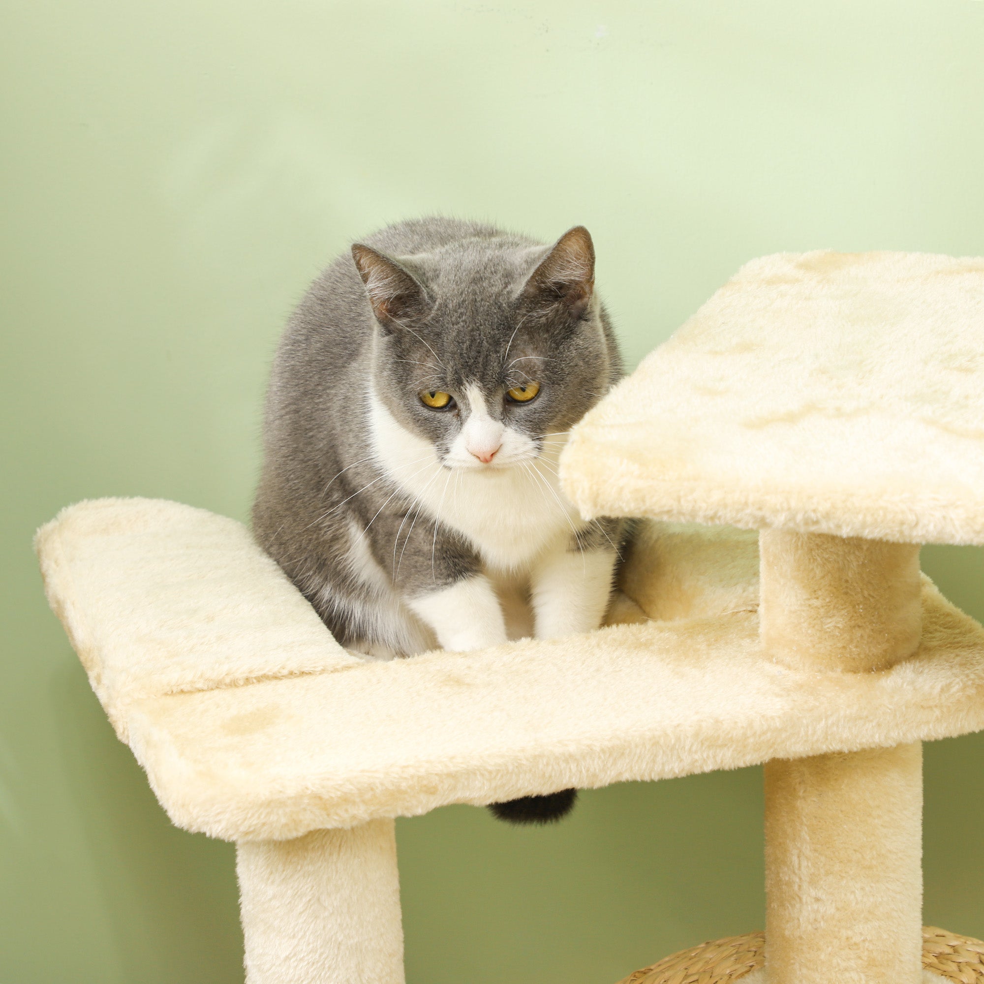 PawHut 44" Cat Tree, Cat Tower for Indoor Cats with Sisal Scratching Posts, Cat Condo, Hammock, Cat Bed, Platforms, Toy Balls, Cat Activity Center, Beige