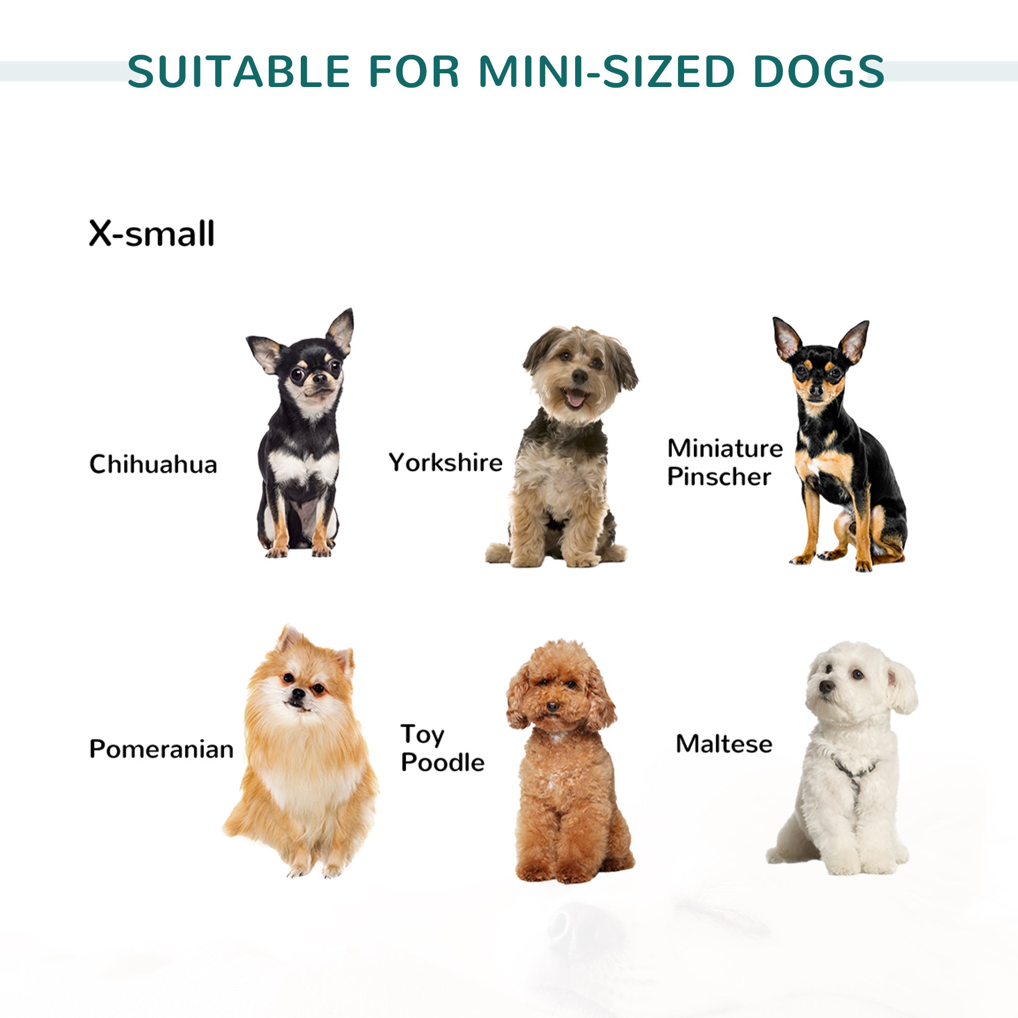 PawHut Dog Sofa with Soft Cushion, Pet Bed Cat Chair Couch with Water Resistant Fabric, Sponge Padded, Washable Cover, Easy Installation, Wooden Legs for Mini Sized Dogs - Green