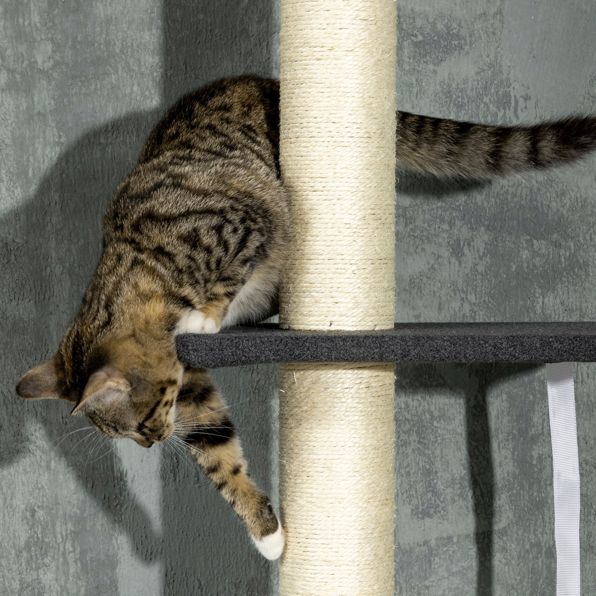 PawHut Floor To Ceiling Cat Tree, 5 Tier Height Adjustable Cat Climbing Tower with Scratching Post, Hammock, Bed for Indoor Cats, 240-270cm, Black