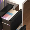 Vinsetto Mobile Vertical Filing Cabinet with Lock, 2-Drawer Steel File Cabinet with Adjustable Hanging Bar for Letter, A4 and Legal Size, Black