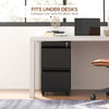Vinsetto Mobile Vertical Filing Cabinet with Lock, 2-Drawer Steel File Cabinet with Adjustable Hanging Bar for Letter, A4 and Legal Size, Black