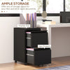 Vinsetto Mobile Vertical Filing Cabinet with Lock, 2-Drawer Steel File Cabinet with Adjustable Hanging Bar for Letter, A4 and Legal Size, Black