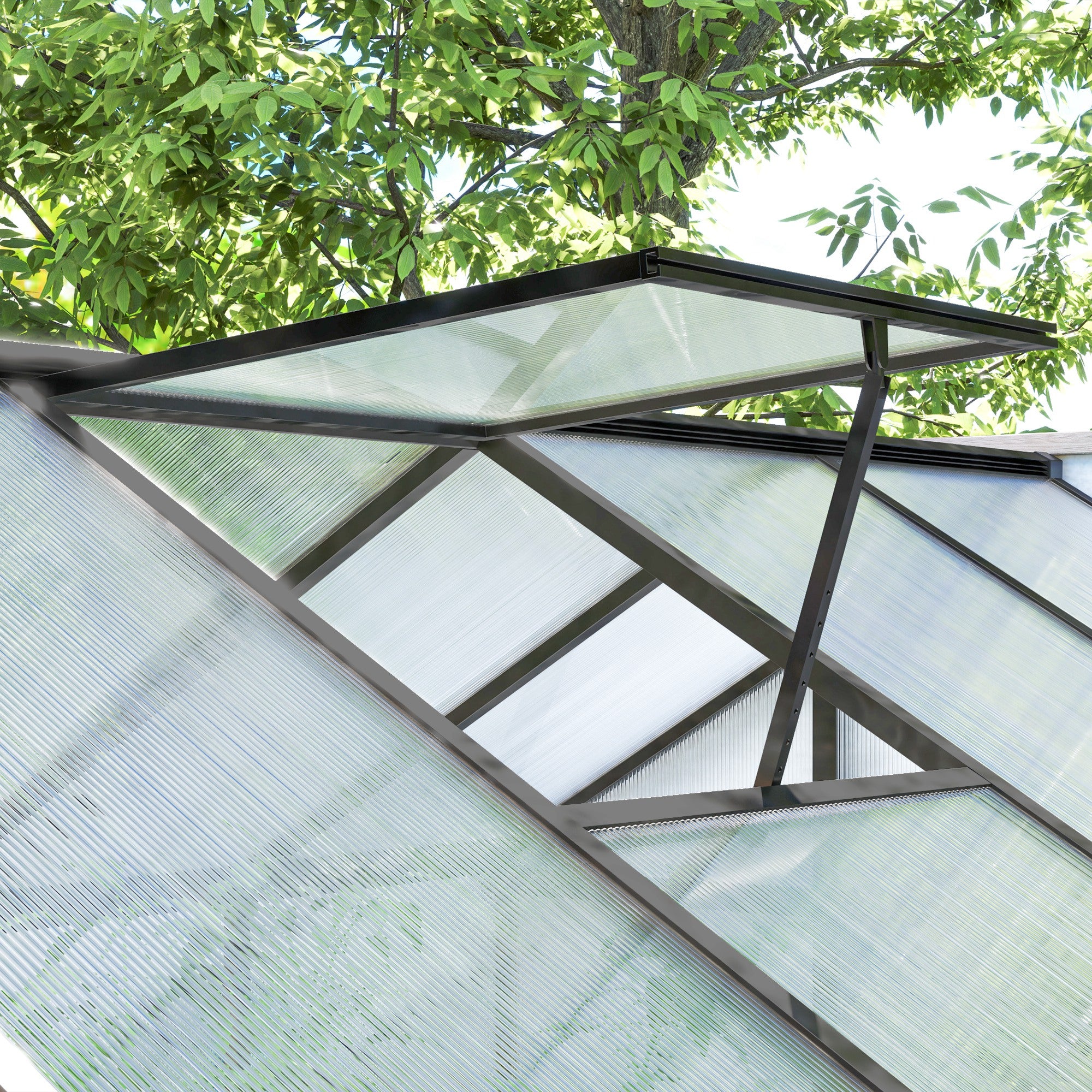 Outsunny 6' x 10' x 6.4' Walk-in Garden Greenhouse Polycarbonate Panels Plants Flower Growth Shed Cold Frame Outdoor Portable Warm House Aluminum Frame, Charcoal Grey