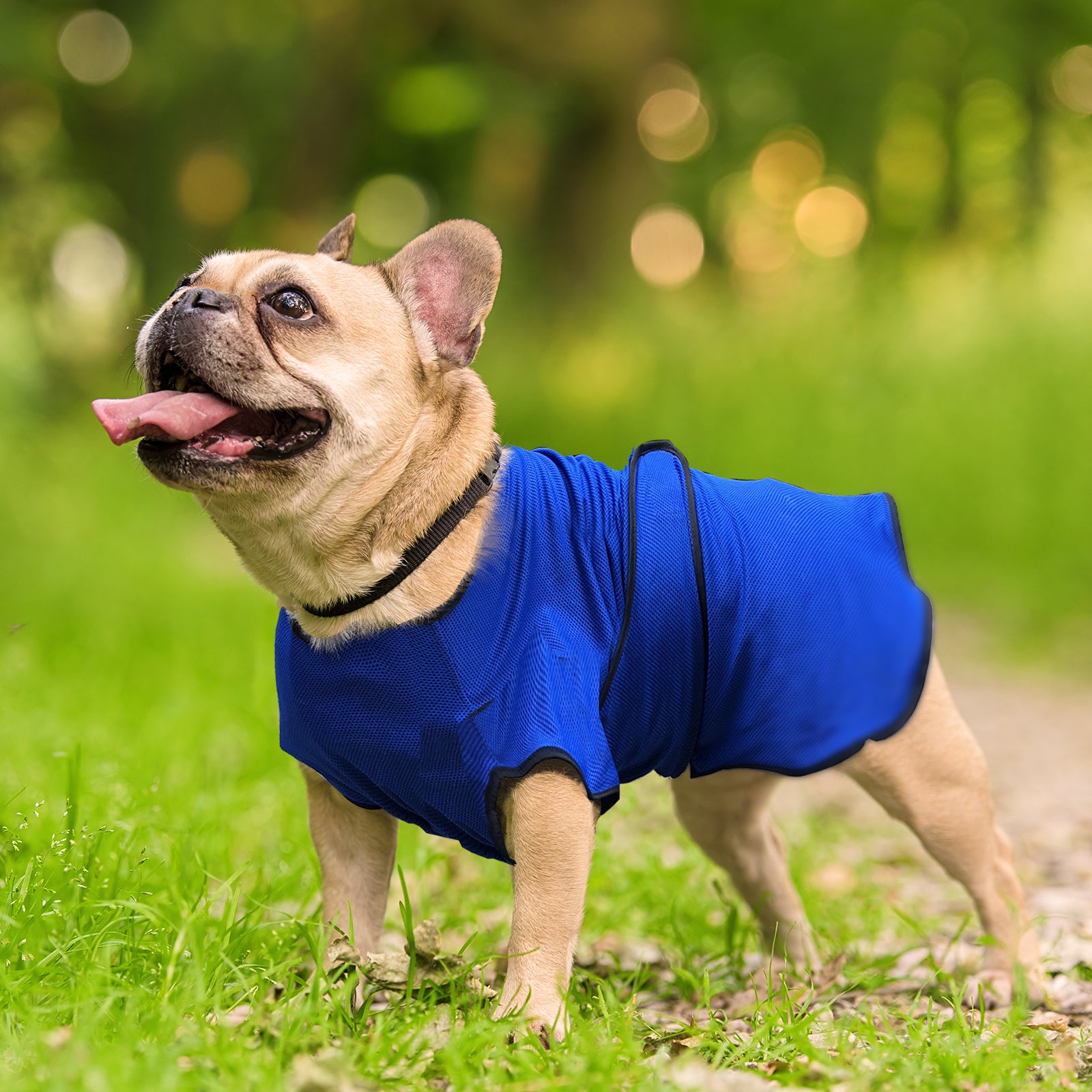 Pawhut Dog Pet Summer Cooling Cool Coat Vest Jacket Cooler Breathable Anti-bacterial Dark Blue , S , 40cm long