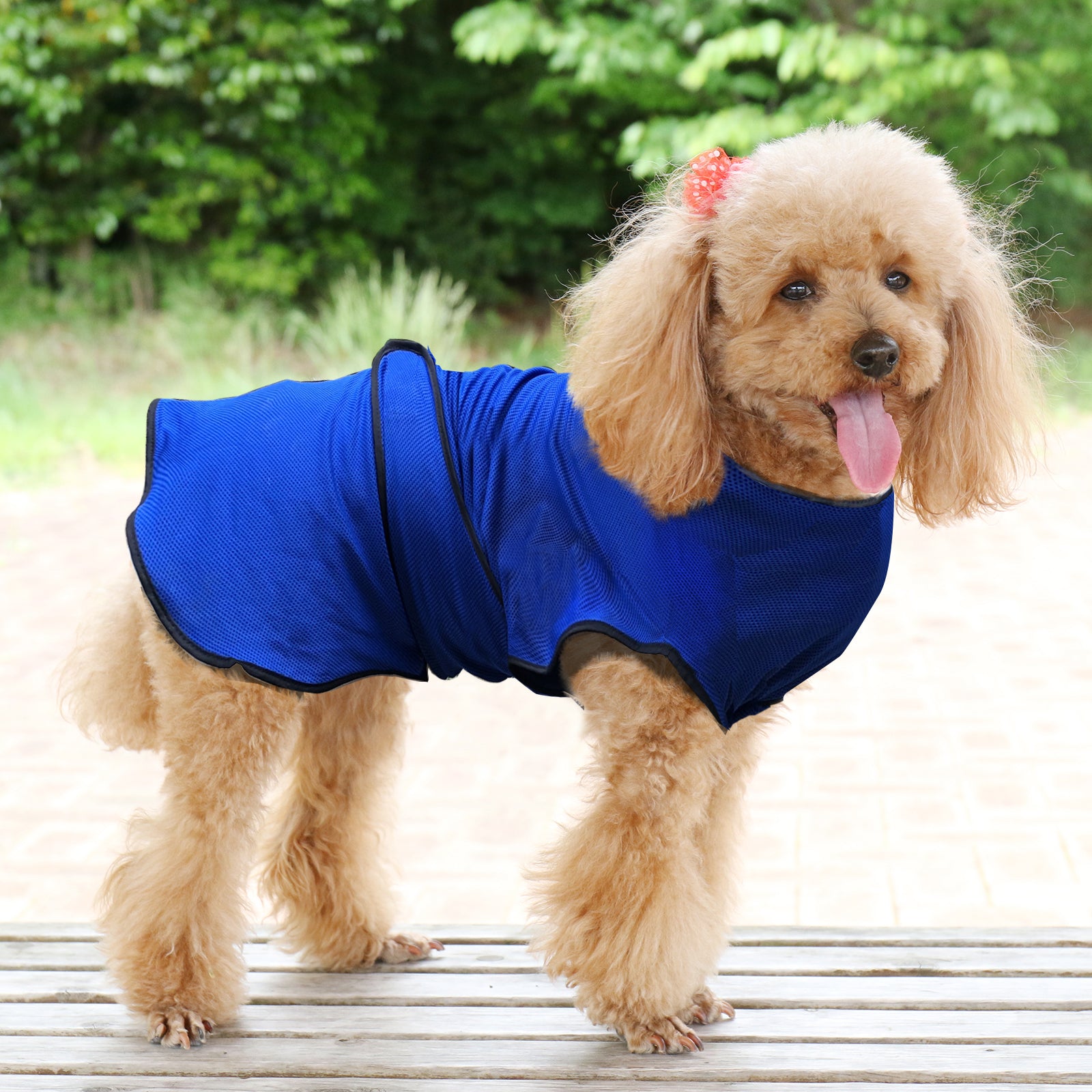 Pawhut Dog Pet Summer Cooling Cool Coat Vest Jacket Cooler Breathable Anti-bacterial Dark Blue , S , 40cm long