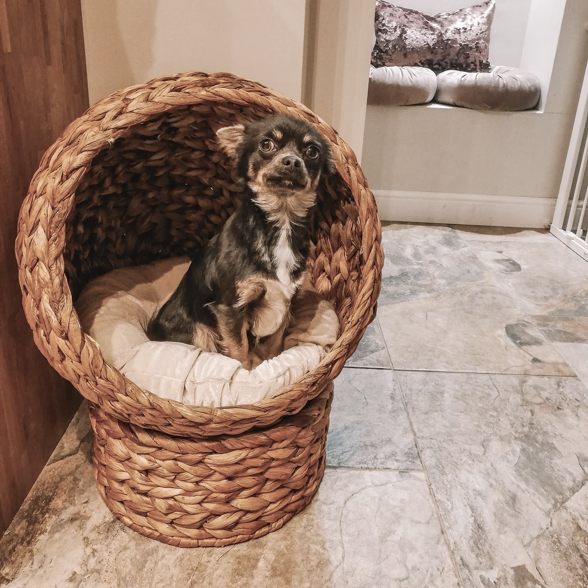 PawHut Wicker Cat House, Raised Cat Bed with Cylindrical Base, Soft Washable Cushion, Woven Water Hyacinth Cat Basket for Indoor and Outdoor, 42 x 33 x 52 cm - Brown
