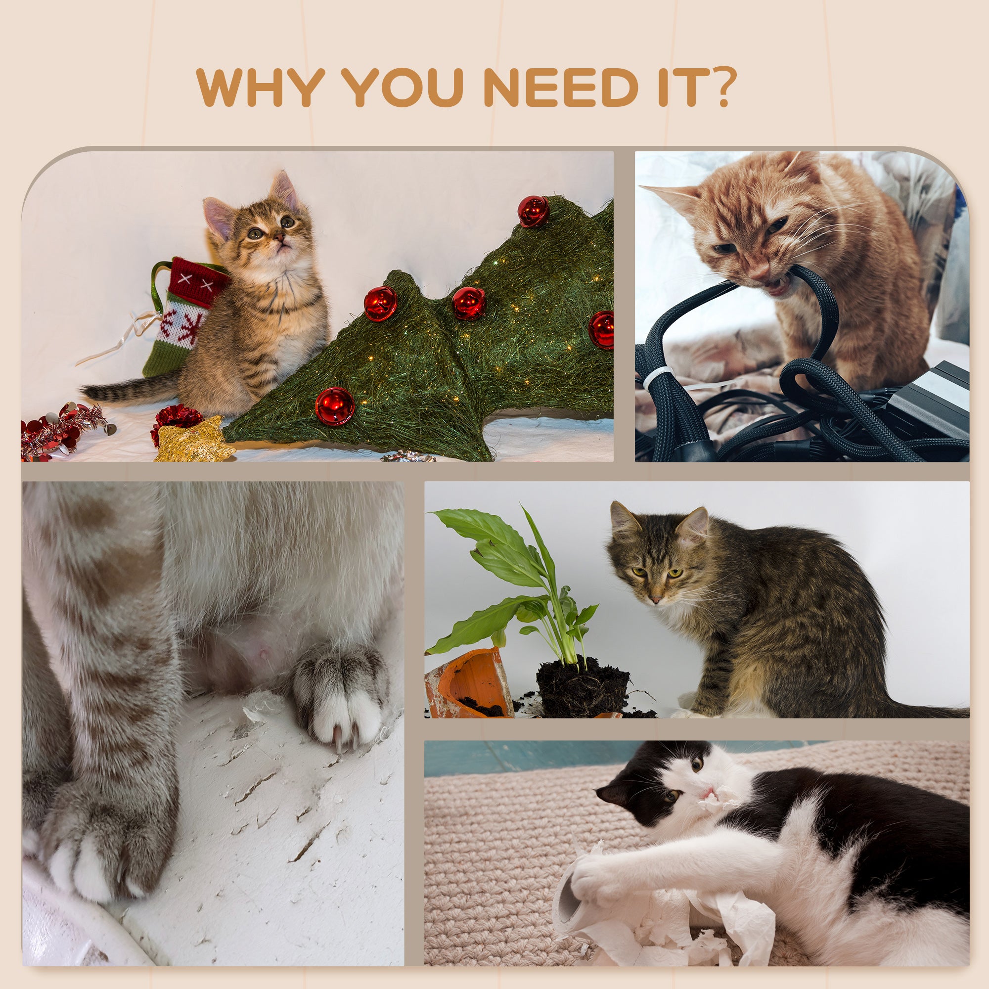 PawHut 4-Piece Cat Wall Shelf Set with Scratching Post, Steps, Bridge, Platforms, Cat Climber Shelves for Indoor Kittens, Light Grey