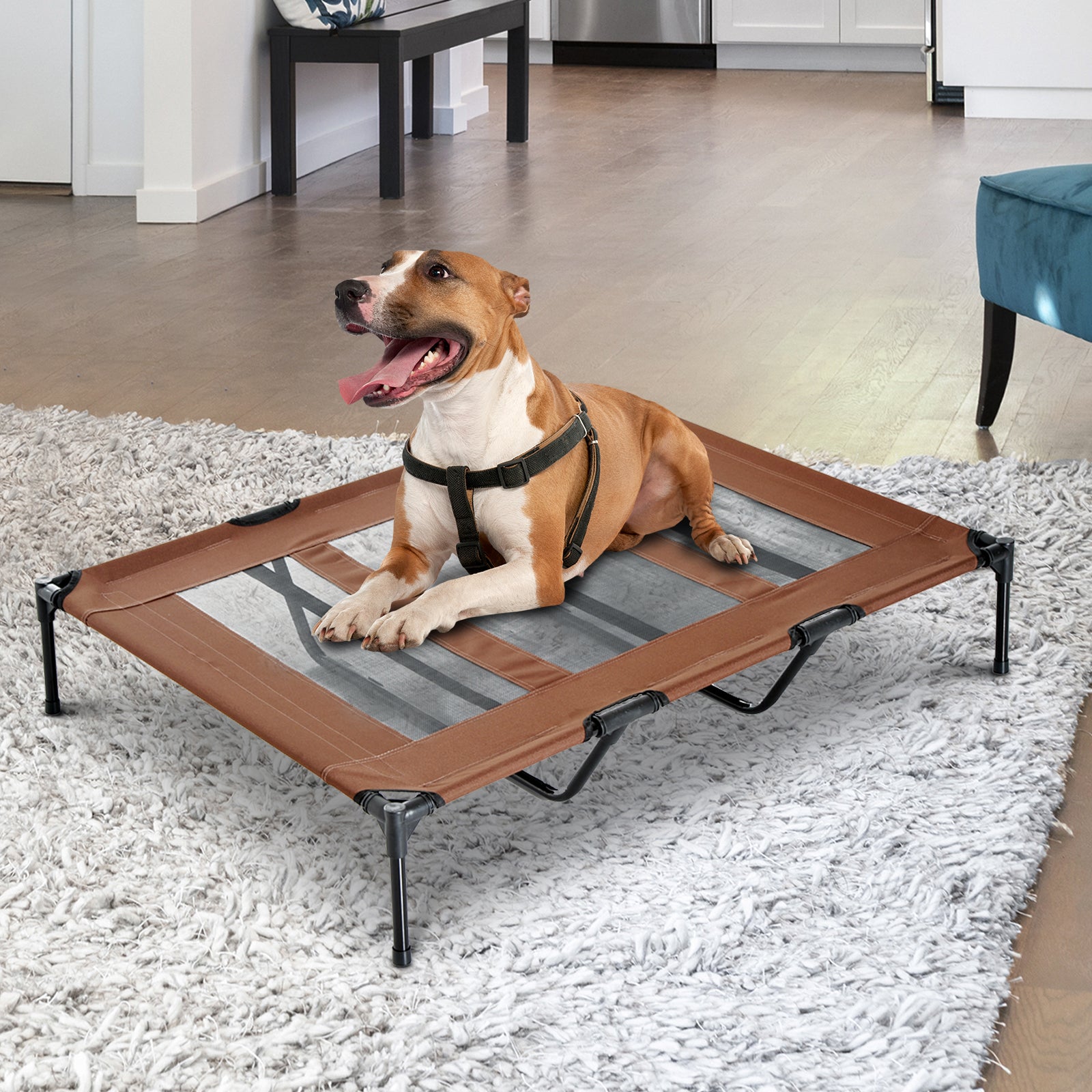 PawHut Elevated Dog Bed, Foldable Raised Dog Cot for XL Sized Dogs, Indoor & Outdoor, 48" x 36" x 9", Coffee