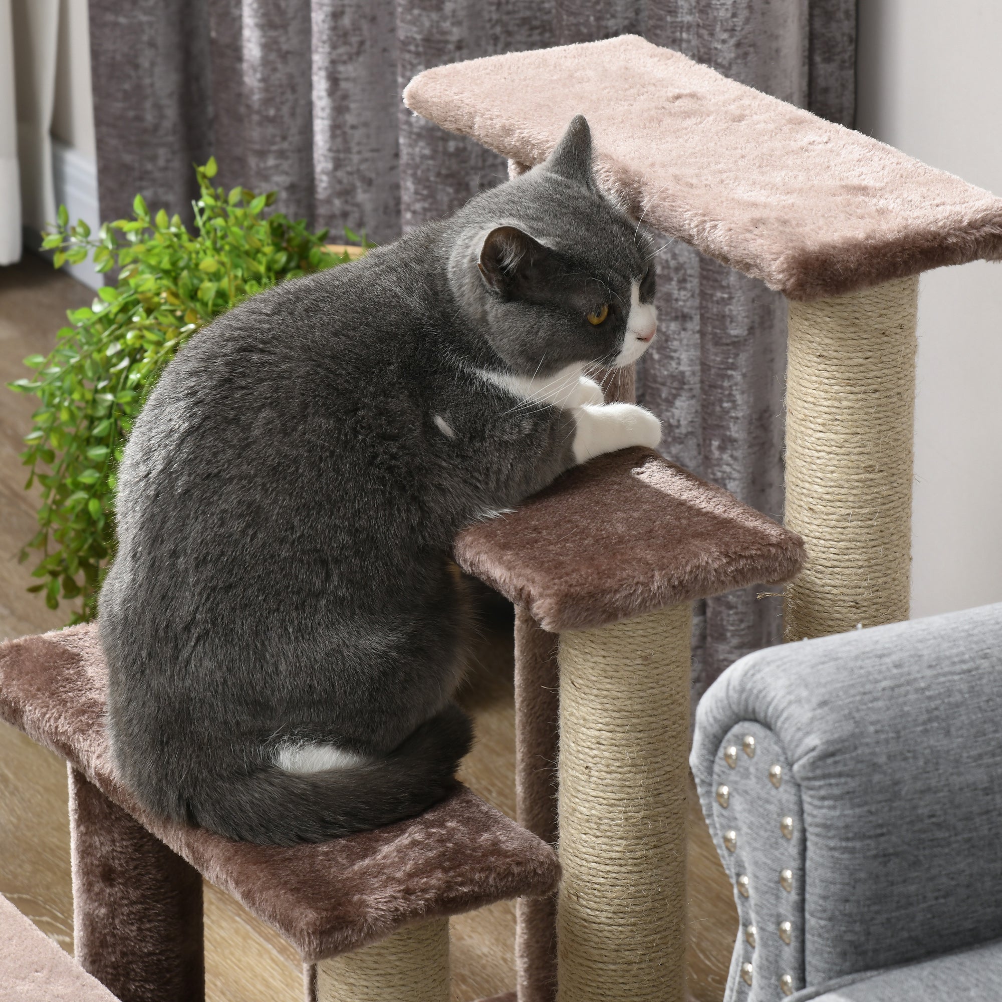 PawHut 4 Levels Cat Steps, Pet Stairs Carpeted Ladder, Kitten Tree Climber with Scratching Posts, Hanging Play Ball, Side Step, for High Bed, Sofa, Brown