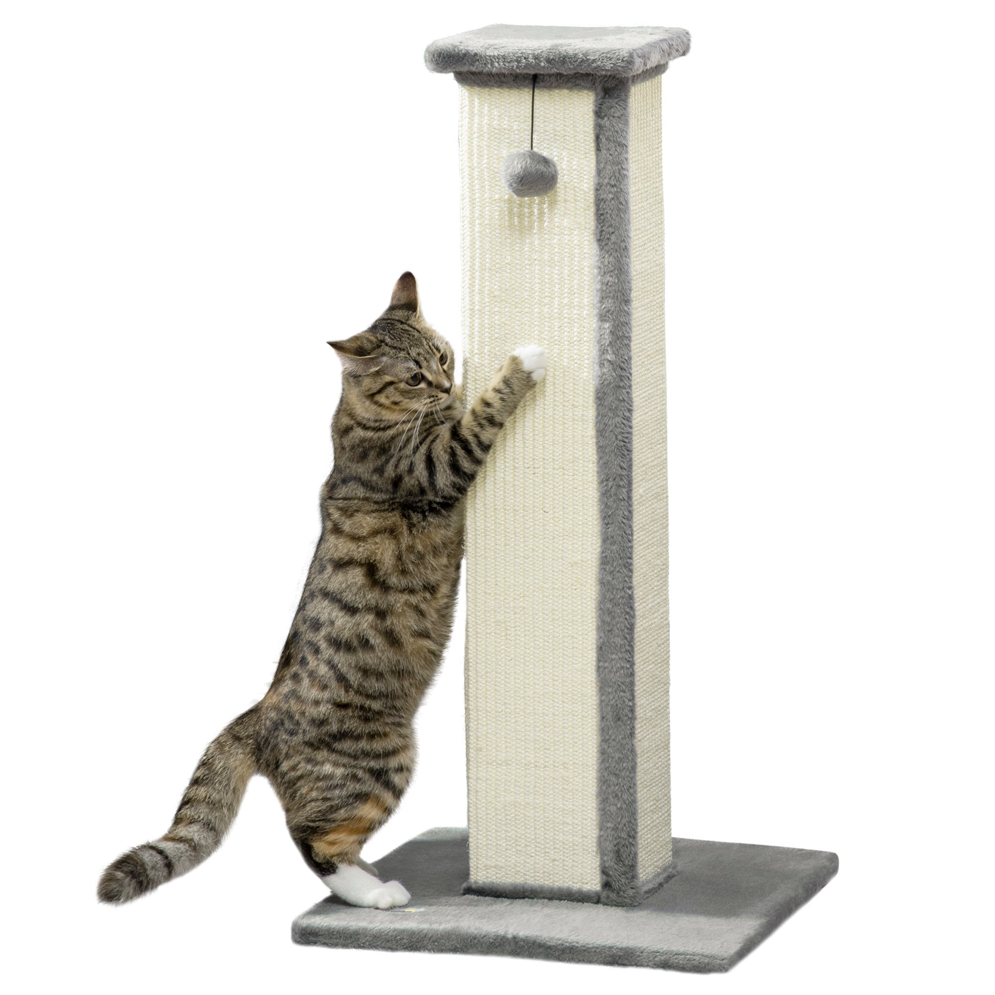 PawHut Cat Scratching Post for Indoor Cats, 81cm Cat Scratcher, Vertical Full Scratcher with Natural Sisal Rope, Hanging Ball and Soft Plush, Grey