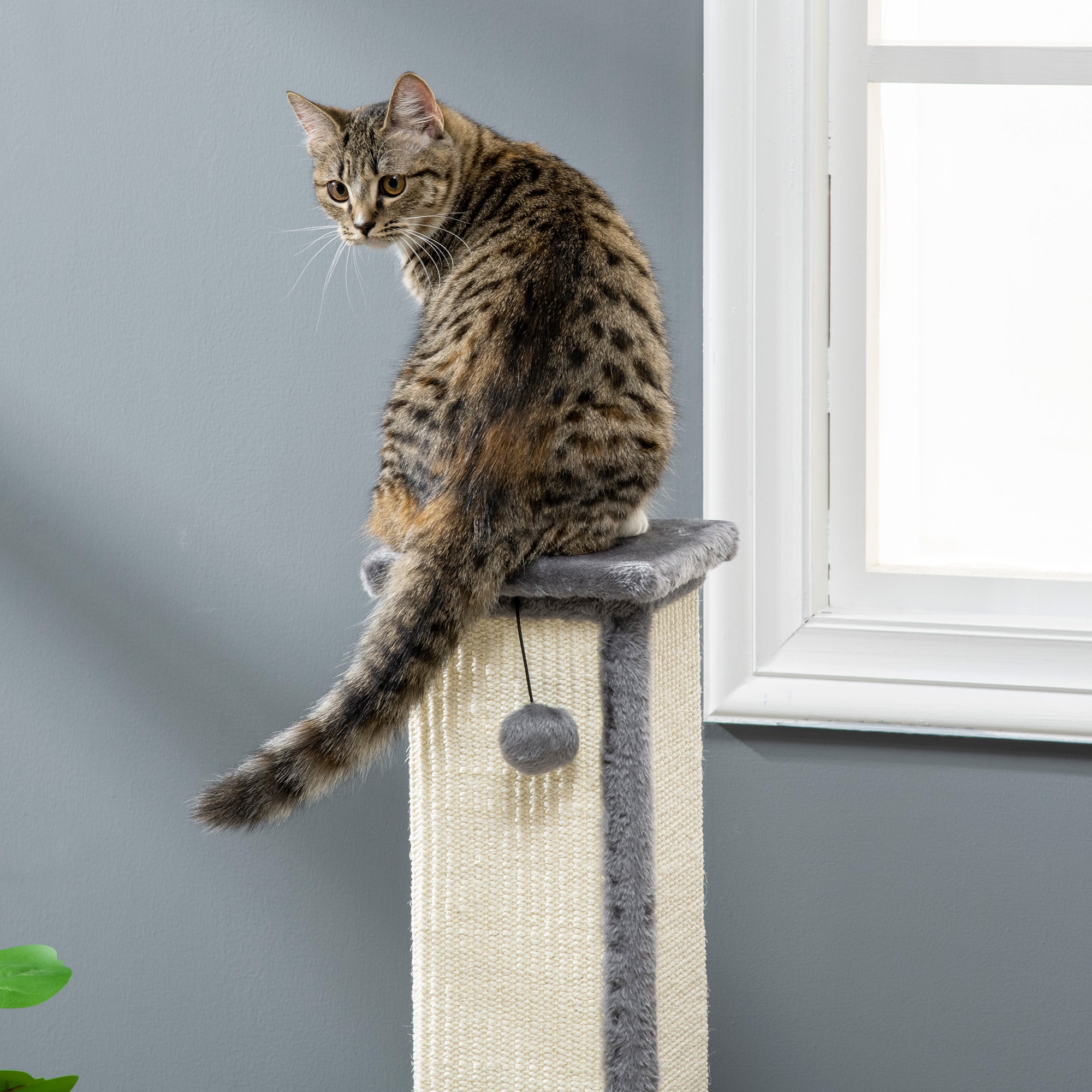 PawHut Cat Scratching Post for Indoor Cats, 81cm Cat Scratcher, Vertical Full Scratcher with Natural Sisal Rope, Hanging Ball and Soft Plush, Grey
