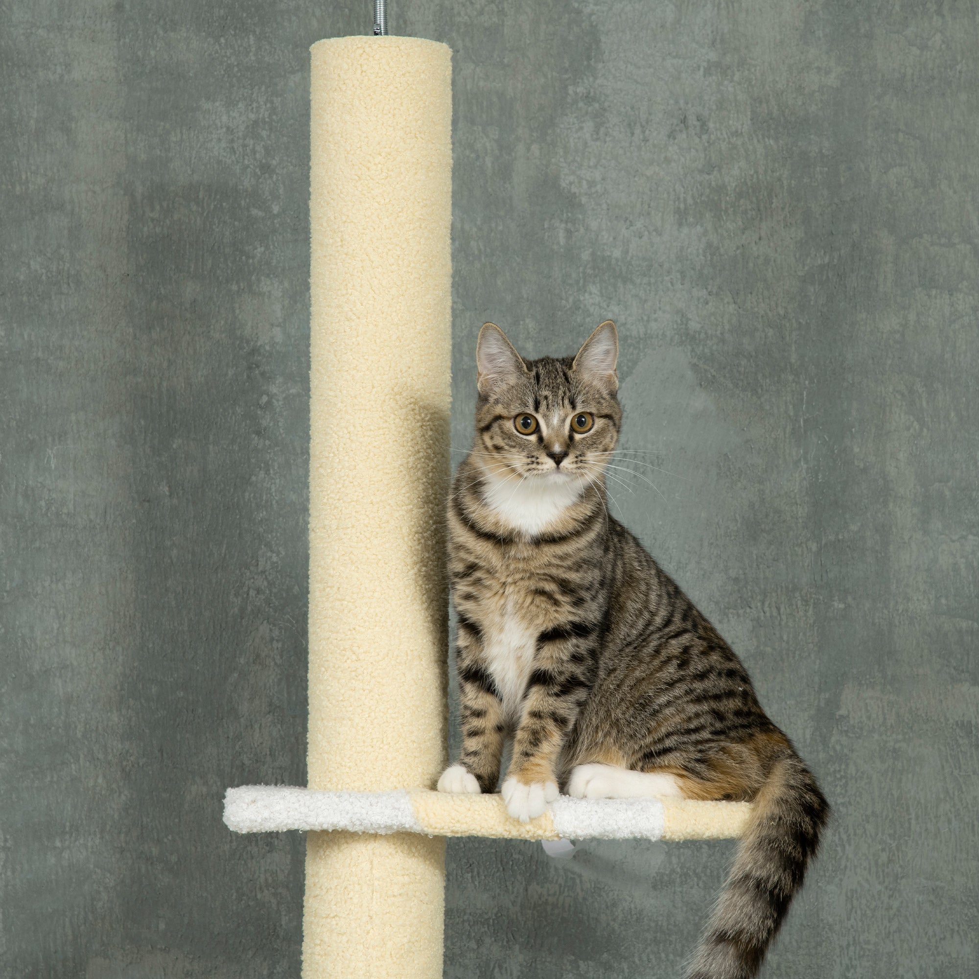 PawHut 260cm Floor to Ceiling Cat Tree, Height Adjustable Kitten Tower with Anti-slip Kit, Multi-Layer Activity Centre w/ Fish-shaped Perches Scratching Post Ball Toy - Yellow