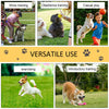 PawHut 12 PCs Dog Agility Equipment Set, Portable Dog Obedience Training Equipment with Weave Poles and Carrying Bag for Outdoor Play Run