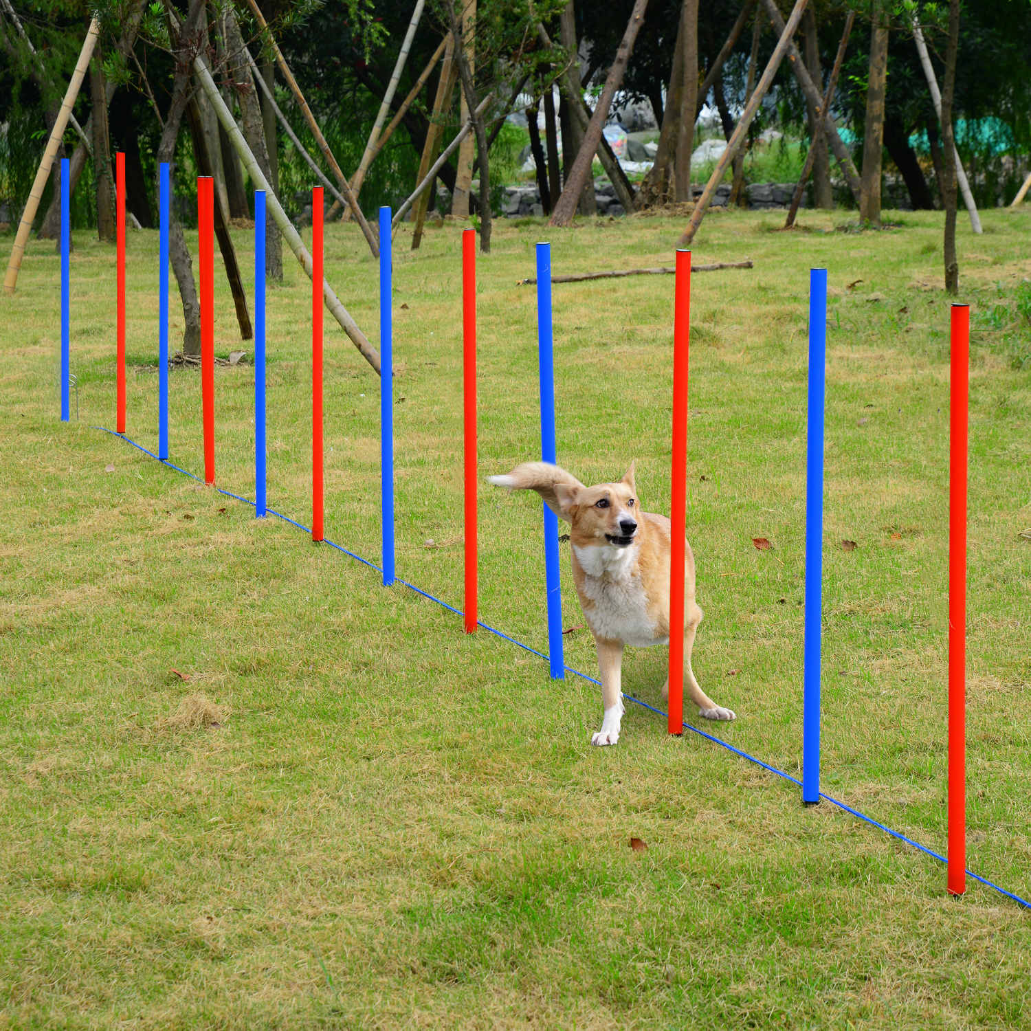 PawHut 12 PCs Dog Agility Equipment Set, Portable Dog Obedience Training Equipment with Weave Poles and Carrying Bag for Outdoor Play Run
