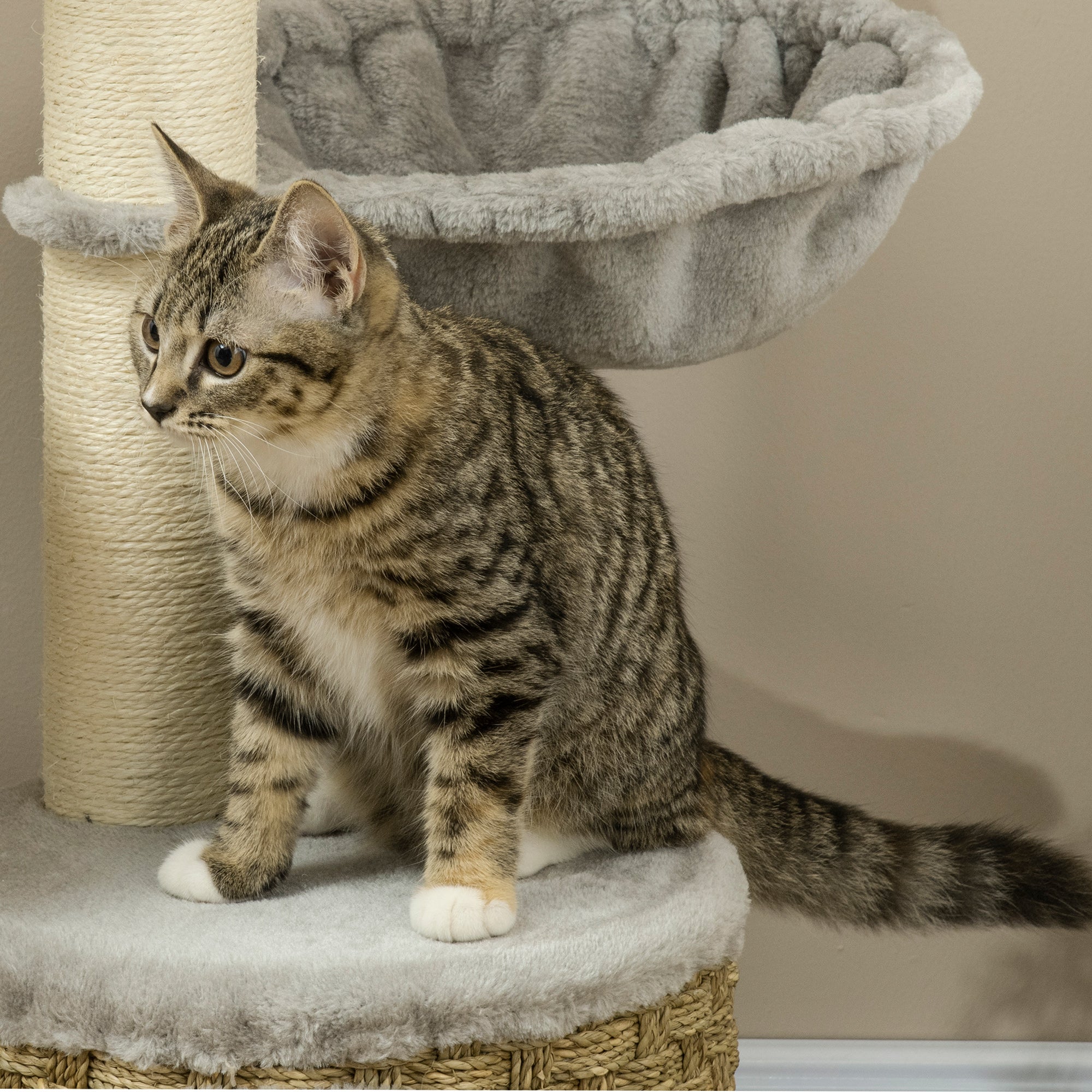 PawHut Cat Tree 115Hcm Cat Climbing Tower Kitten Activity Centre w/ Cat House, Hammock, Jute Scratching Post and Hanging Ball - Light Grey