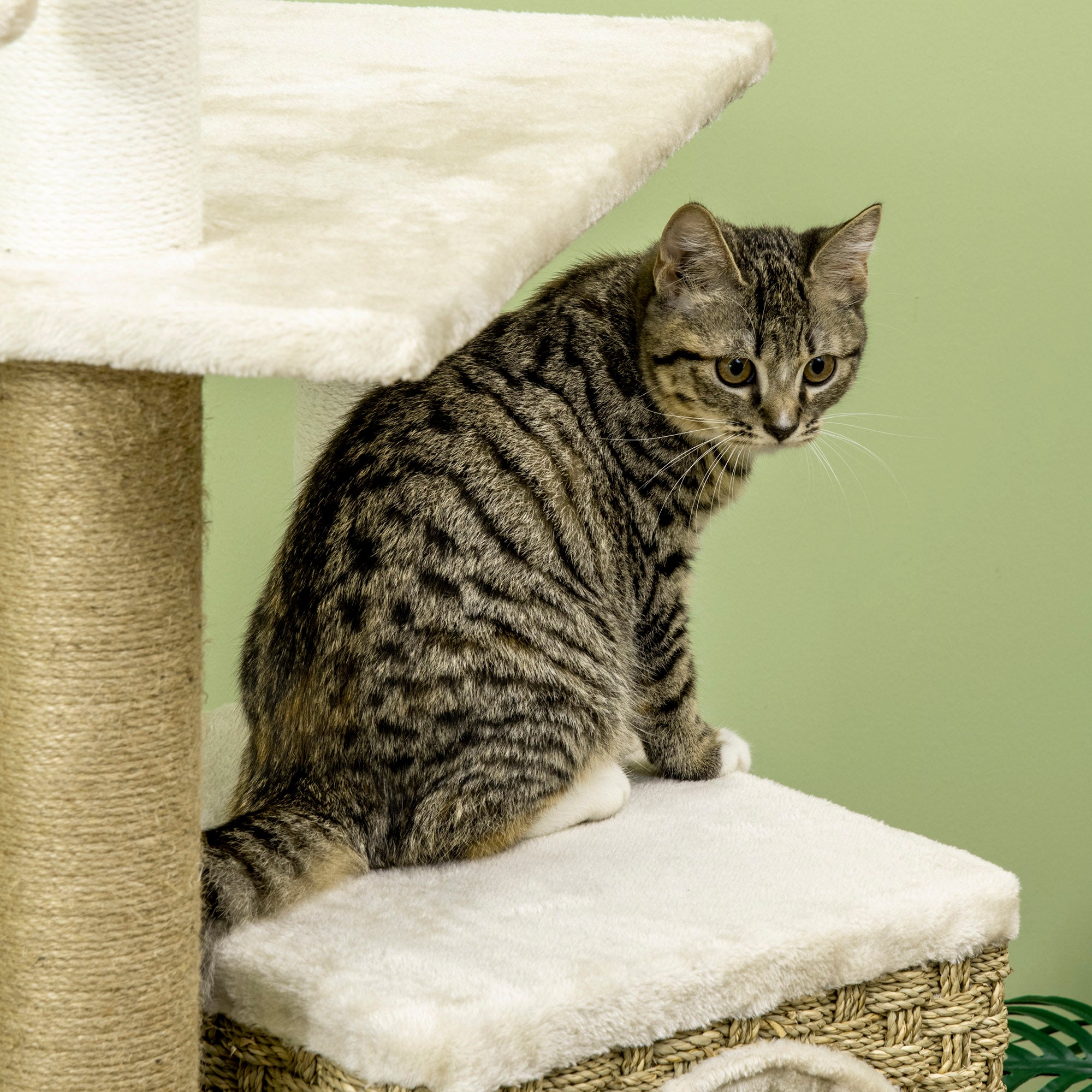 PawHut Cat Tree Climbing Kitten Tower Activity Centre for Indoor Cats w/ Jute Scratching Post, Cat House, Kitten Stand, Hanging Toy Ball - Beige