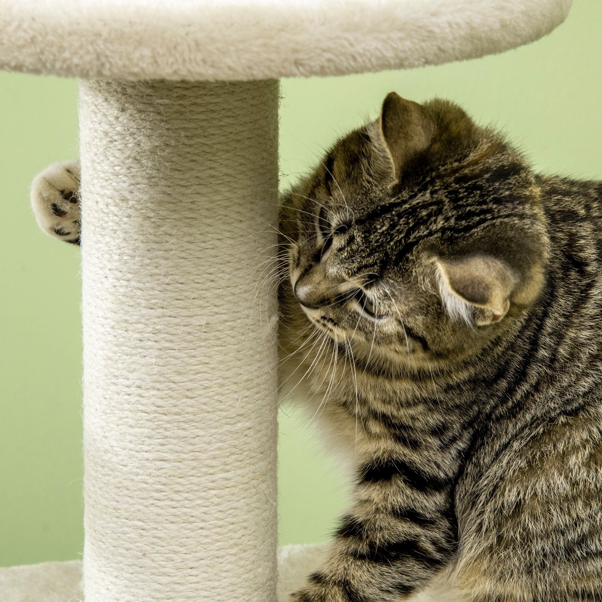 PawHut Cat Tree Climbing Kitten Tower Activity Centre for Indoor Cats w/ Jute Scratching Post, Cat House, Kitten Stand, Hanging Toy Ball - Beige
