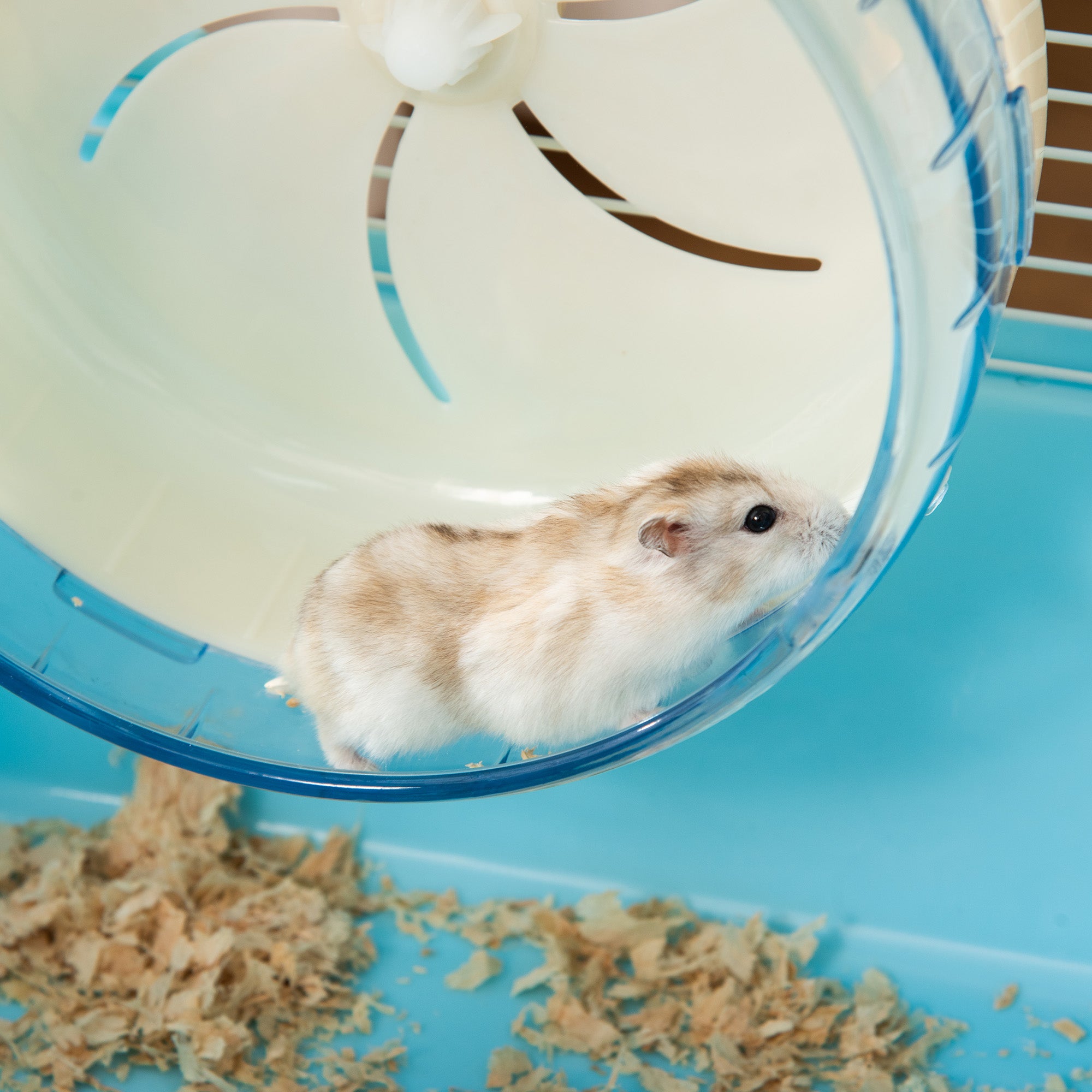 PawHut Hamster Cage, Gerbil Haven, Multi-storey Rodent House, Small Animal Habitats, Large Hide-out, w/ Water Bottle, Tubes, Exercise Wheel, Food Dish, Ramp, Shower Room, Light Blue