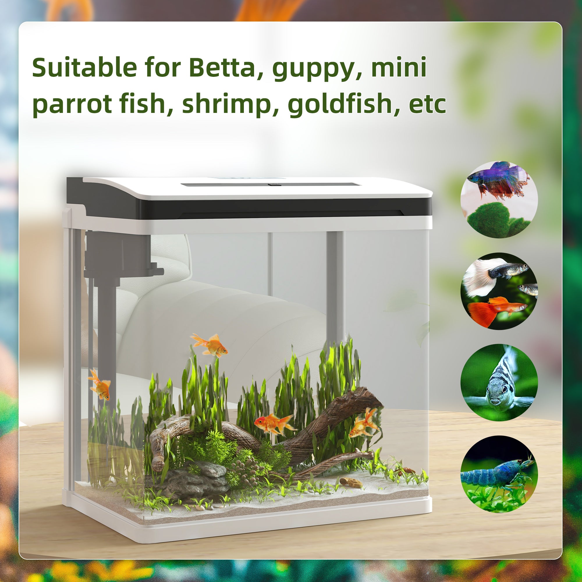 PawHut Aquarium, 13L Glass Fish Tank with Filter, LED Lighting, Water Pump, for Bettas, Guppies, Mini Parrot Fishes, Shrimp, Goldfish, 29 x 20 x 30.5cm