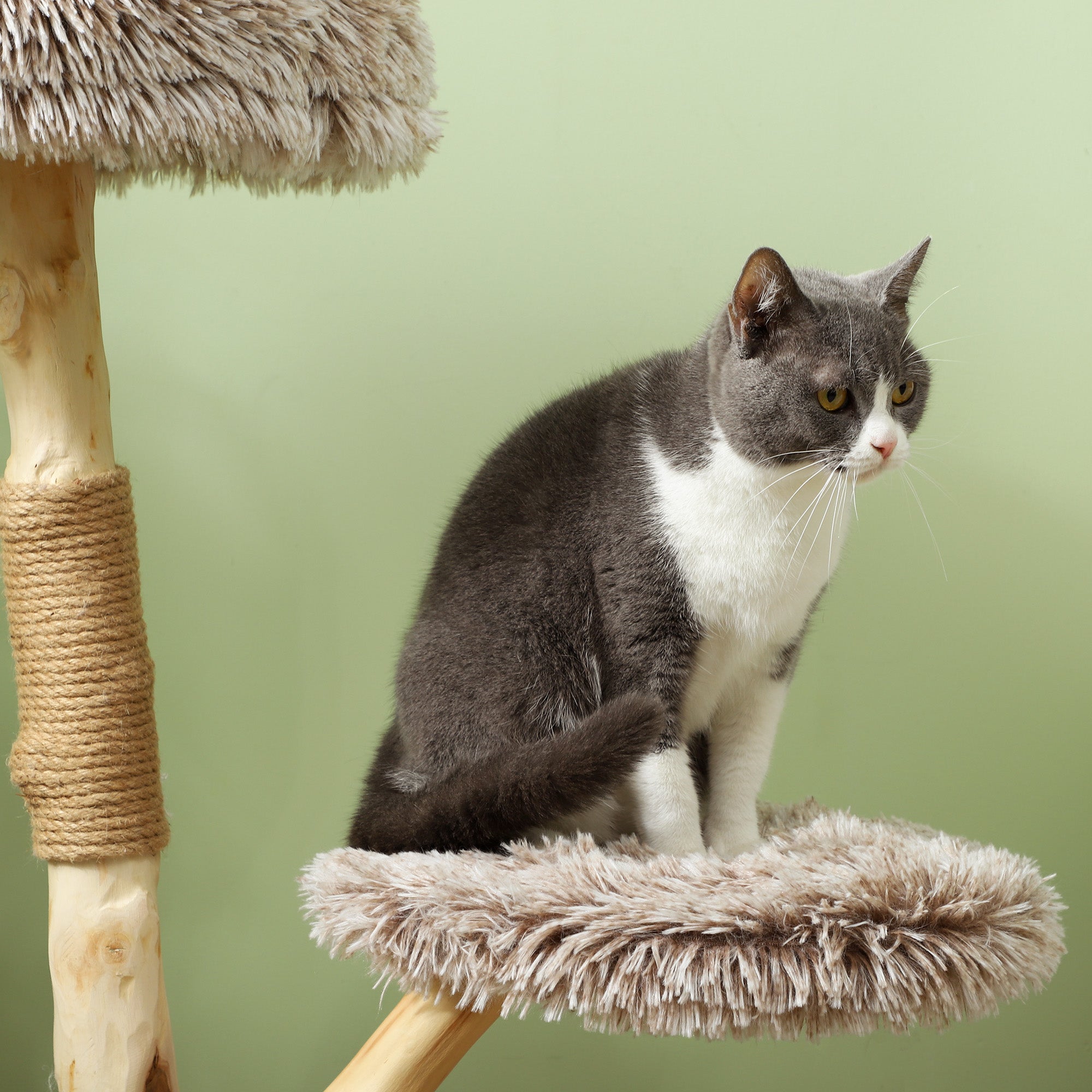 PawHut Cat Tree Tower, 35 Inch Modern Cat Tree for Indoor Adult Cats with Wooden Natural Branch Scratching Posts, Cat Bed & Rope Cat Toy, Brown