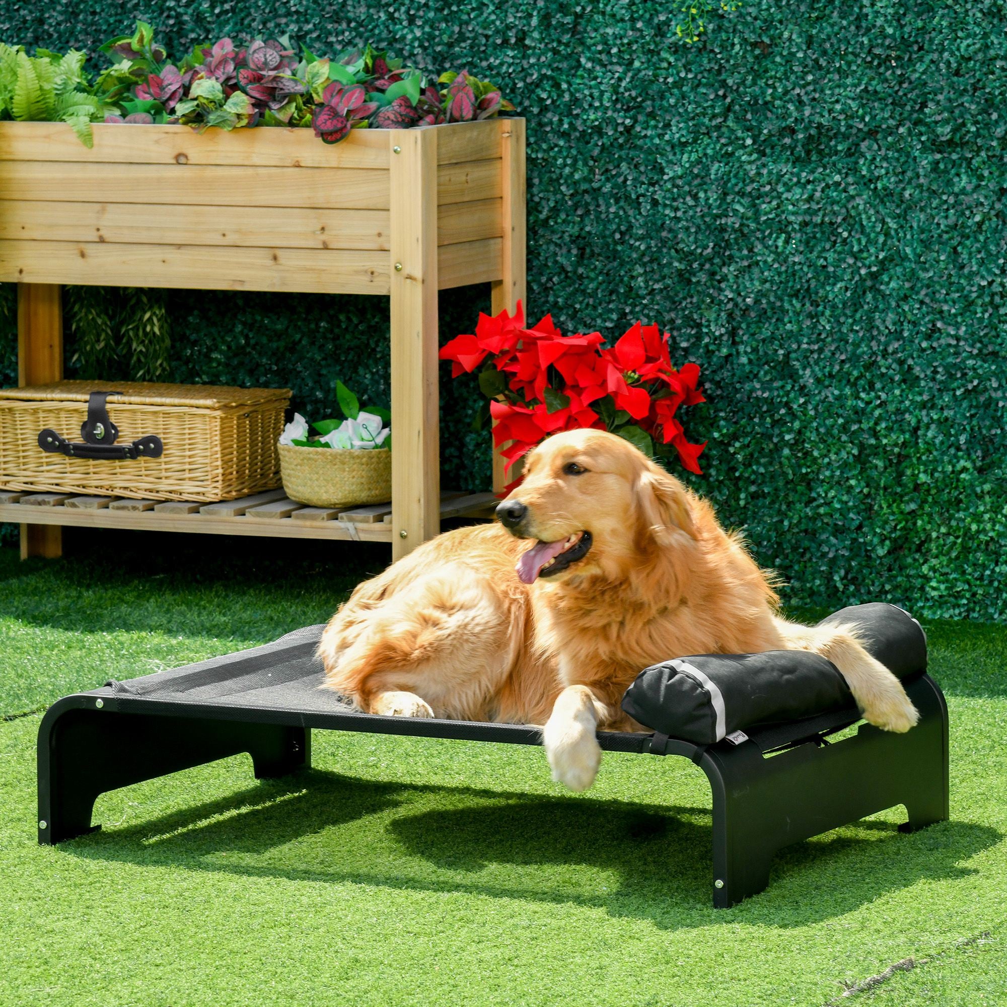 PawHut Elevated Dog Bed w/ Removable Pillow, Raised Pet Bed w/ Steel Frame & Breathable Mesh Fabric for Large Sized Dogs, Black