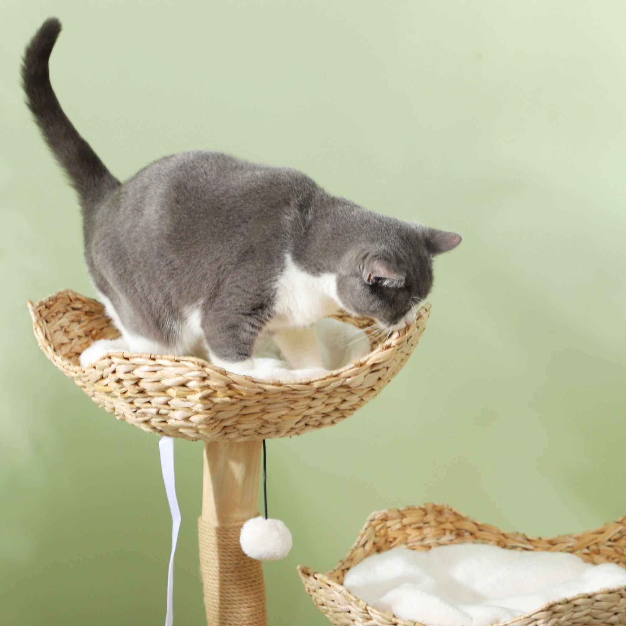PawHut Cat Tree, 37" Cat Tower for Indoor Cats, Modern Cat Tree with Wooden Scratching Posts, Cat Condo, Cat Beds, Toy Balls, Washable Cushions, Anti-Tip Kit, Tree for Kittens & Adult Cats