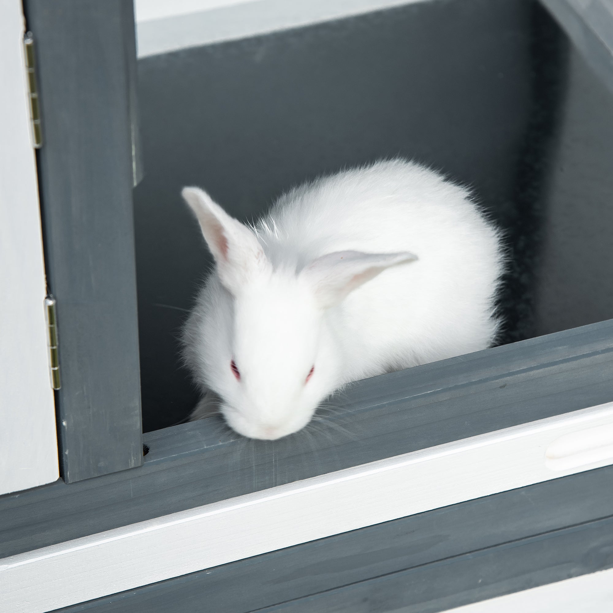 PawHut 57" Rabbit Hutch, 2 Tier Bunny Cage, Guinea Pig Cage, Bunny Run, Indoor Outdoor Small Animal House with Slide-out Tray, Ramp