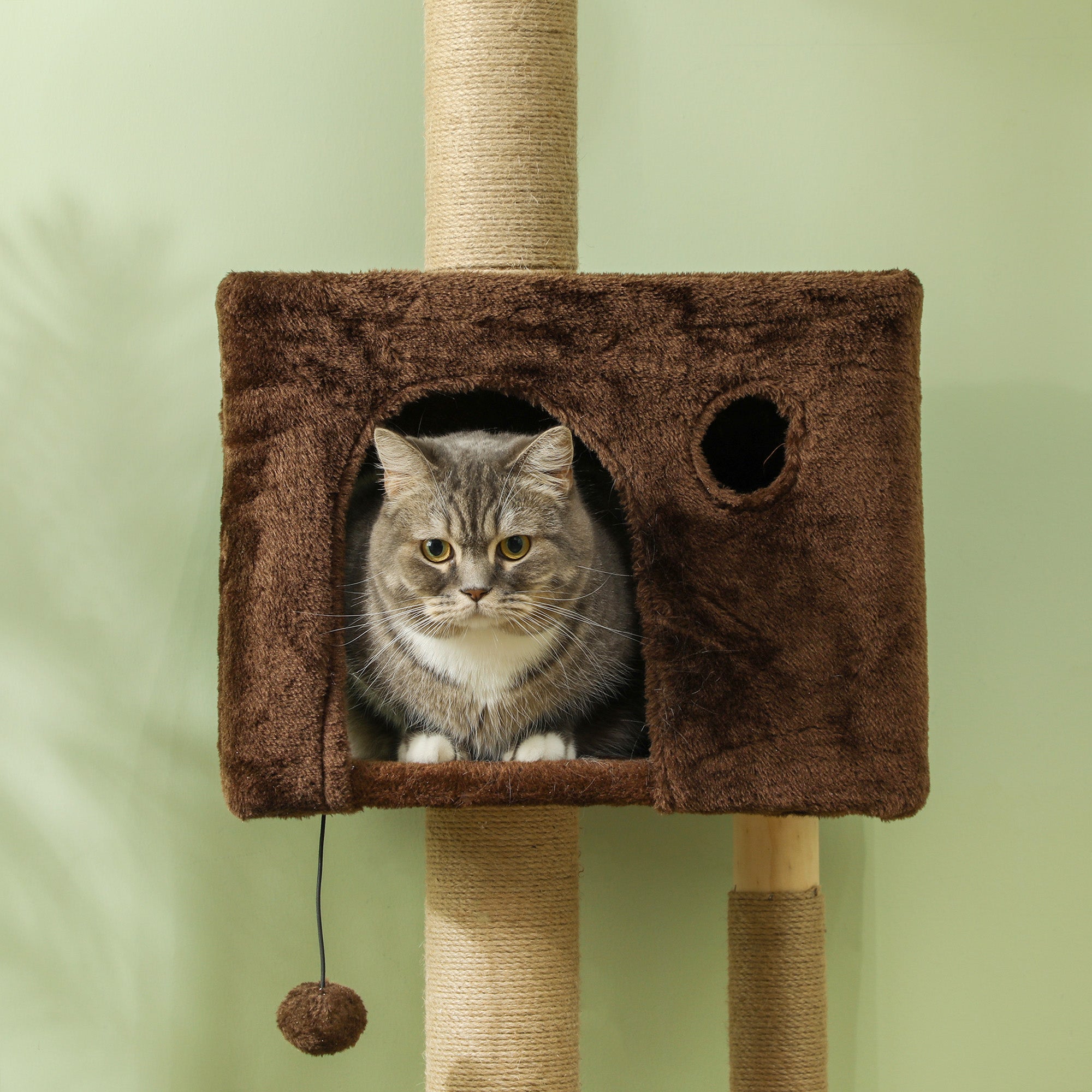 PawHut Floor to Ceiling Cat Tree for Large Cats Adult, Cat Tower Adjustable Height 89"-104" w/ Scratching Post, Cat House, 3-Steps, Hanging Ball, Perches, Anti-tip Kit, Brown